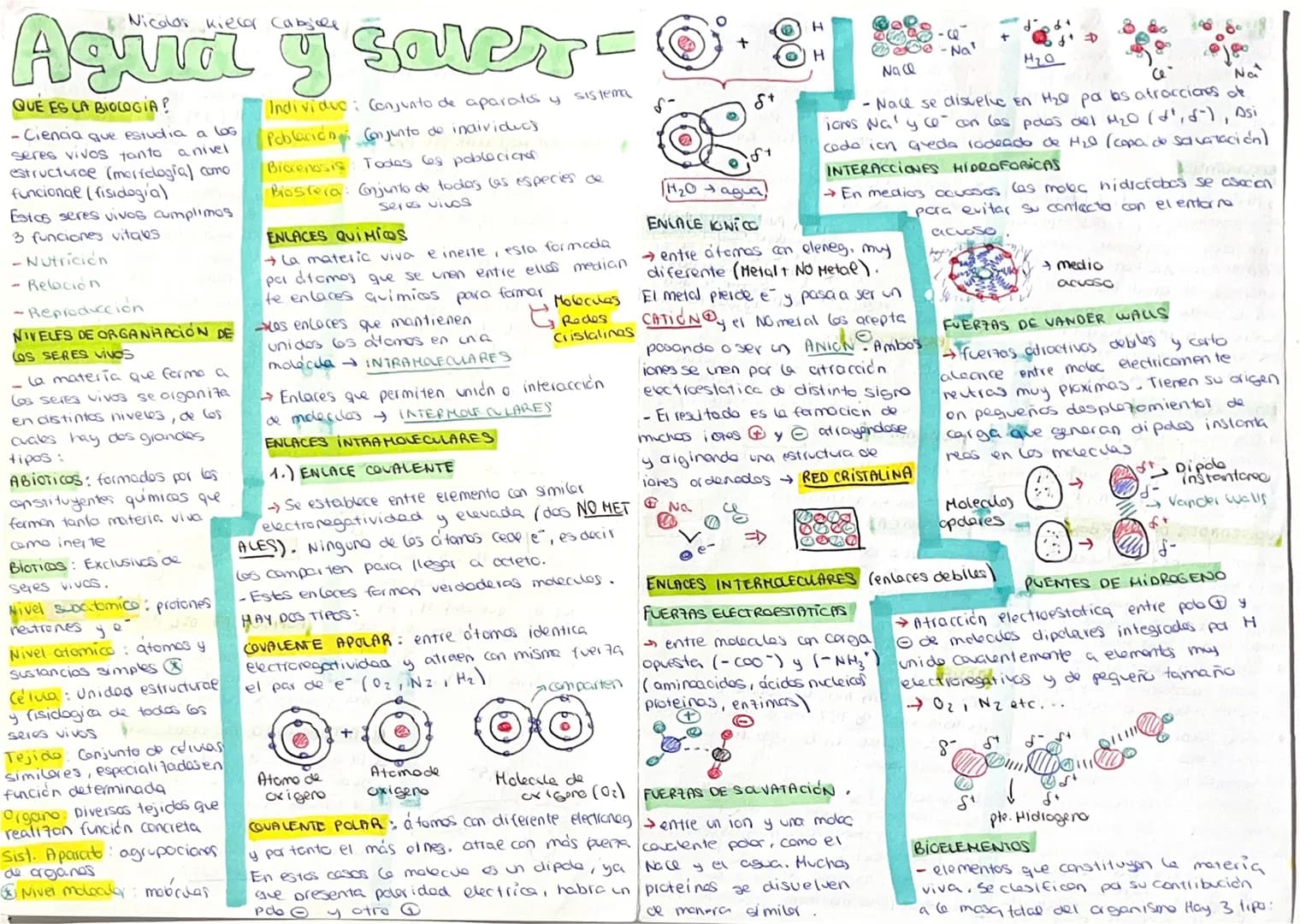Nicolas kierer Cabsides
# Agua y sales
## QUE ES LA BIOLOGIA?
- Ciencia que estudia a los seres vivos tanto a nivel estructural (morfología)