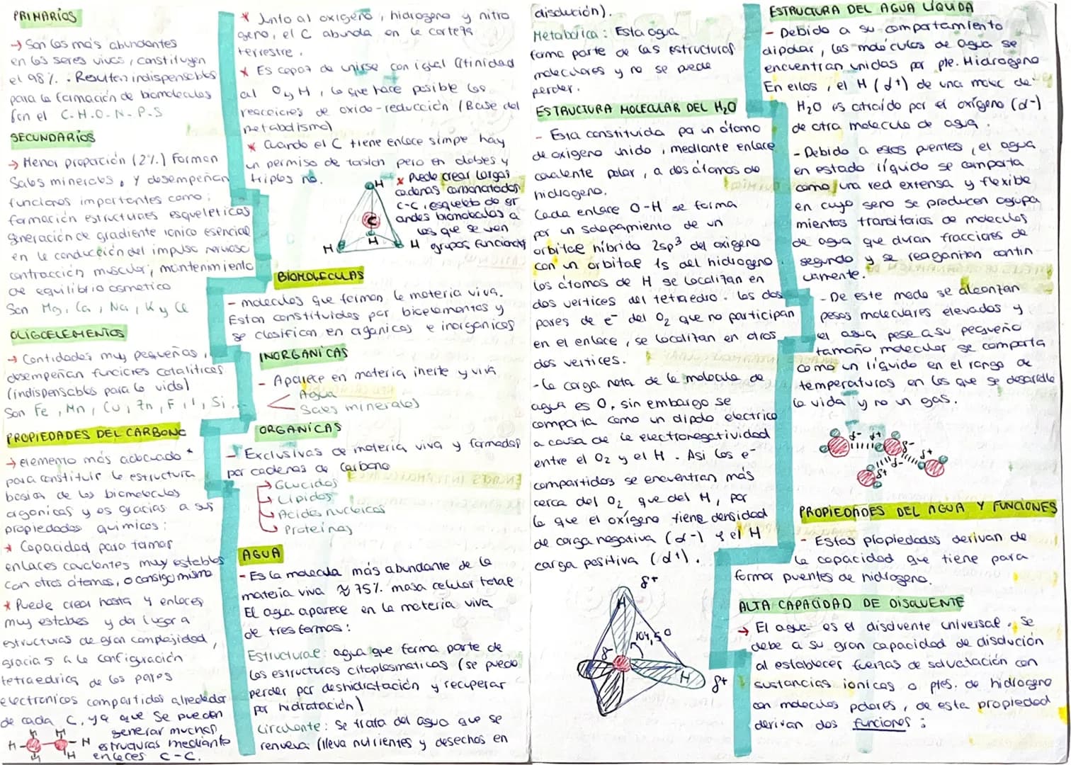 Nicolas kierer Cabsides
# Agua y sales
## QUE ES LA BIOLOGIA?
- Ciencia que estudia a los seres vivos tanto a nivel estructural (morfología)