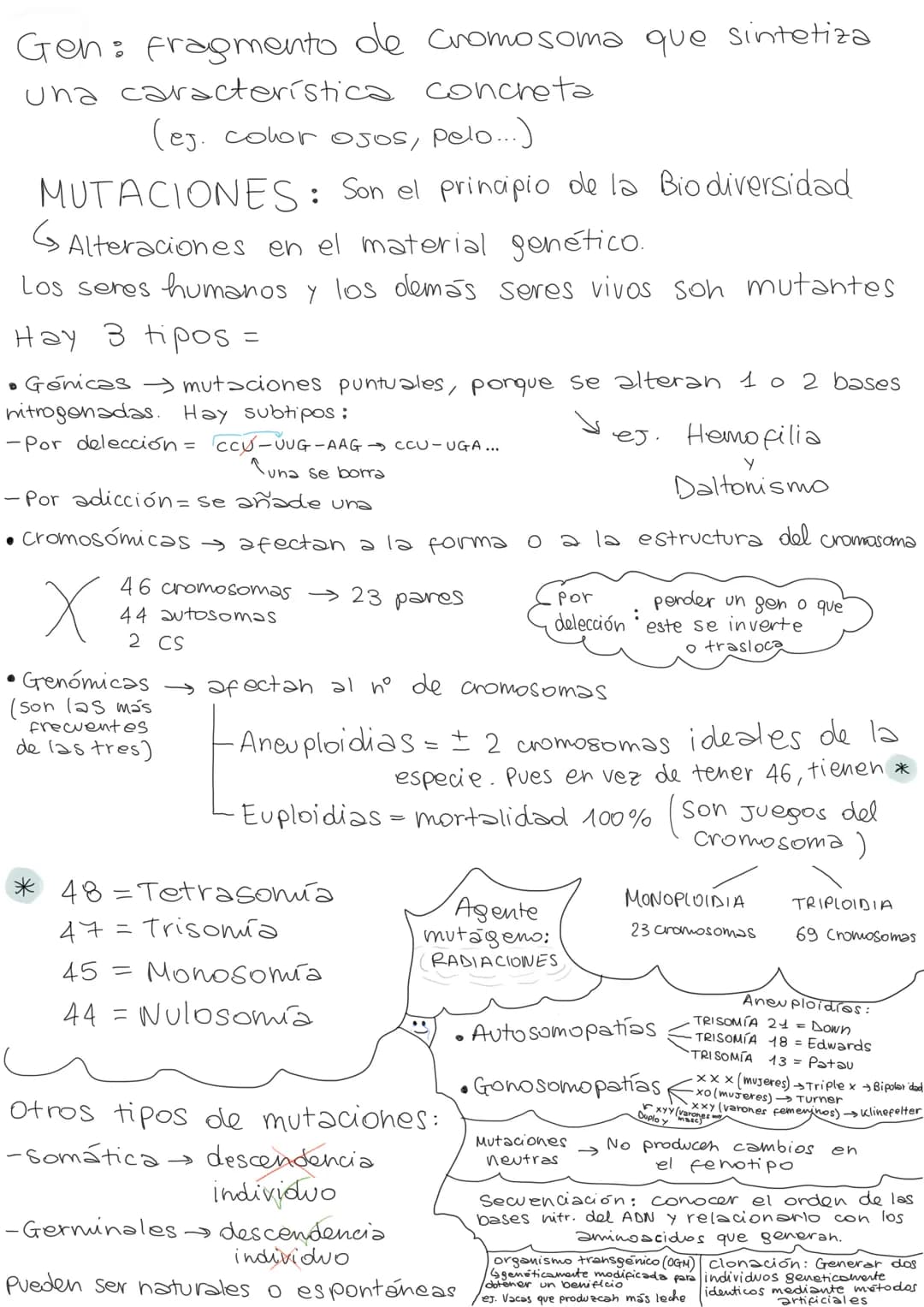 Gen: fragmento de Cromosoma que sintetiza
una característica concreta
(ej. color ojos, pelo...)
MUTACIONES: Son el principio de la Biodiver