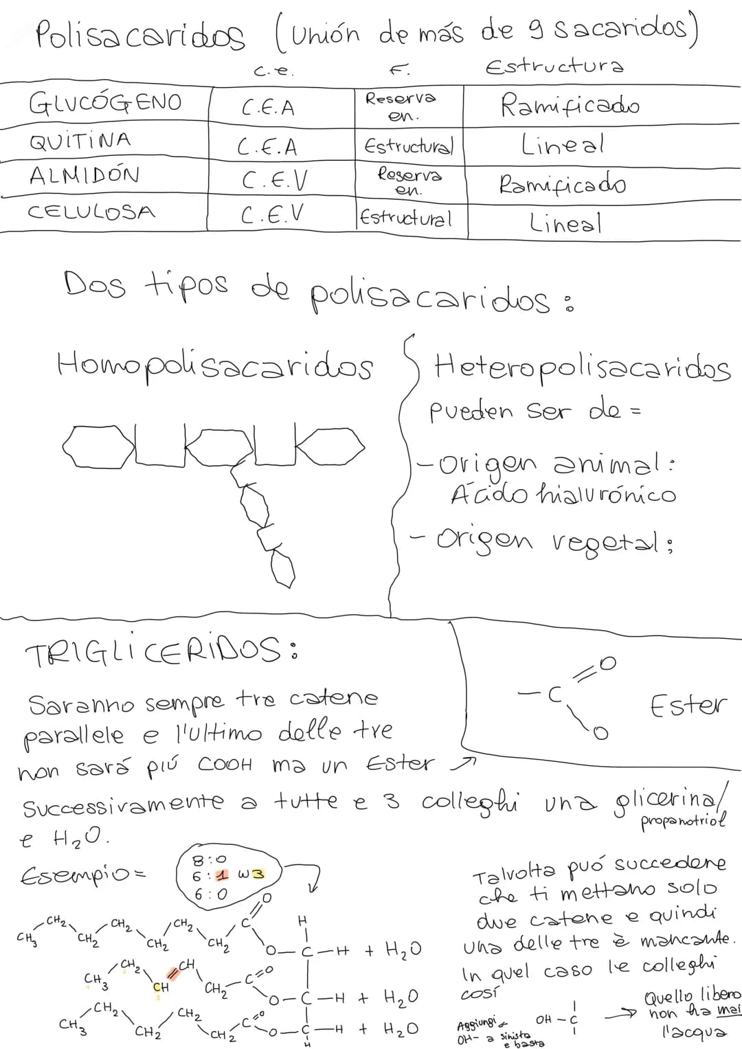 Gen: fragmento de Cromosoma que sintetiza
una característica concreta
(ej. color ojos, pelo...)
MUTACIONES: Son el principio de la Biodiver