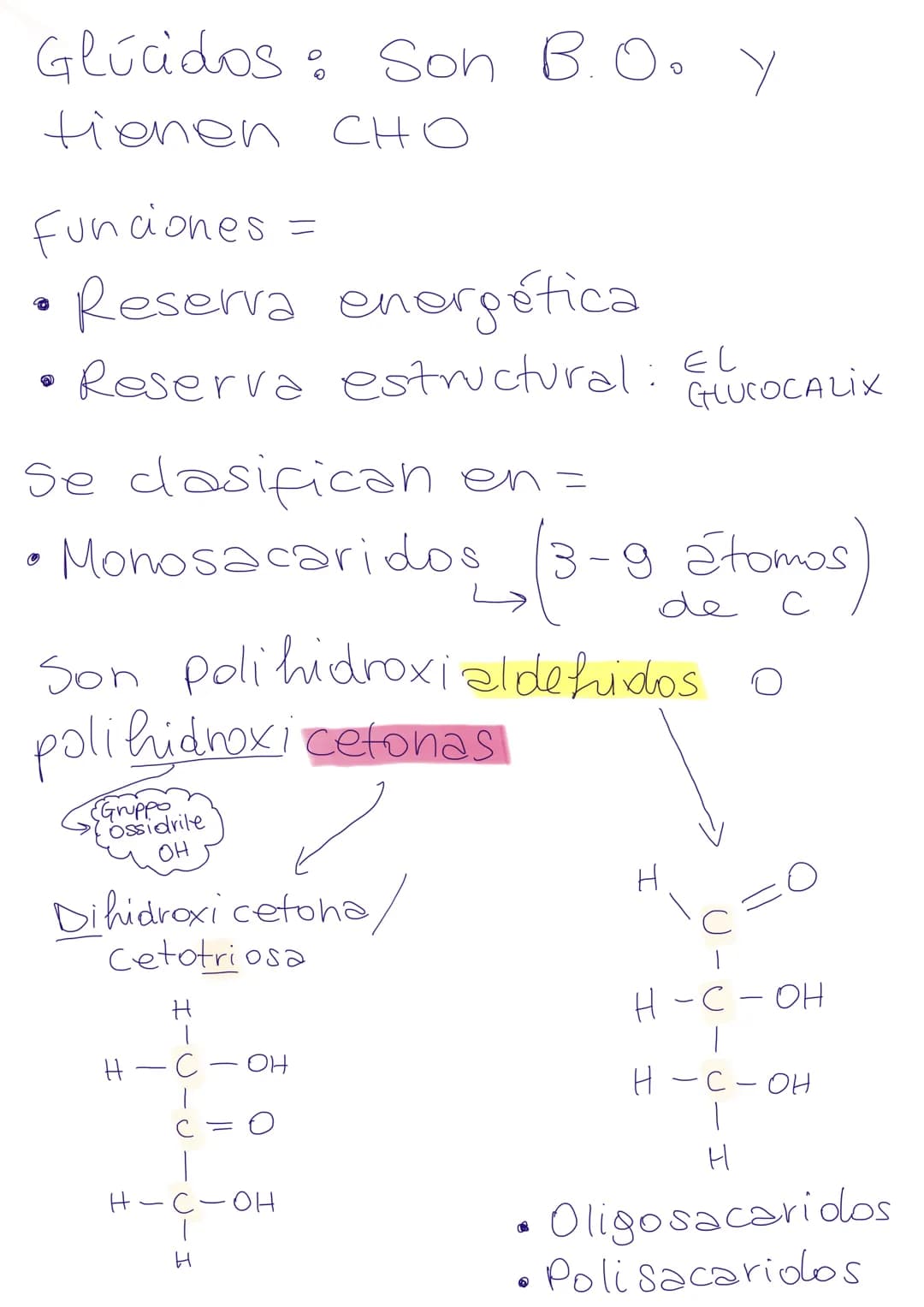 Gen: fragmento de Cromosoma que sintetiza
una característica concreta
(ej. color ojos, pelo...)
MUTACIONES: Son el principio de la Biodiver