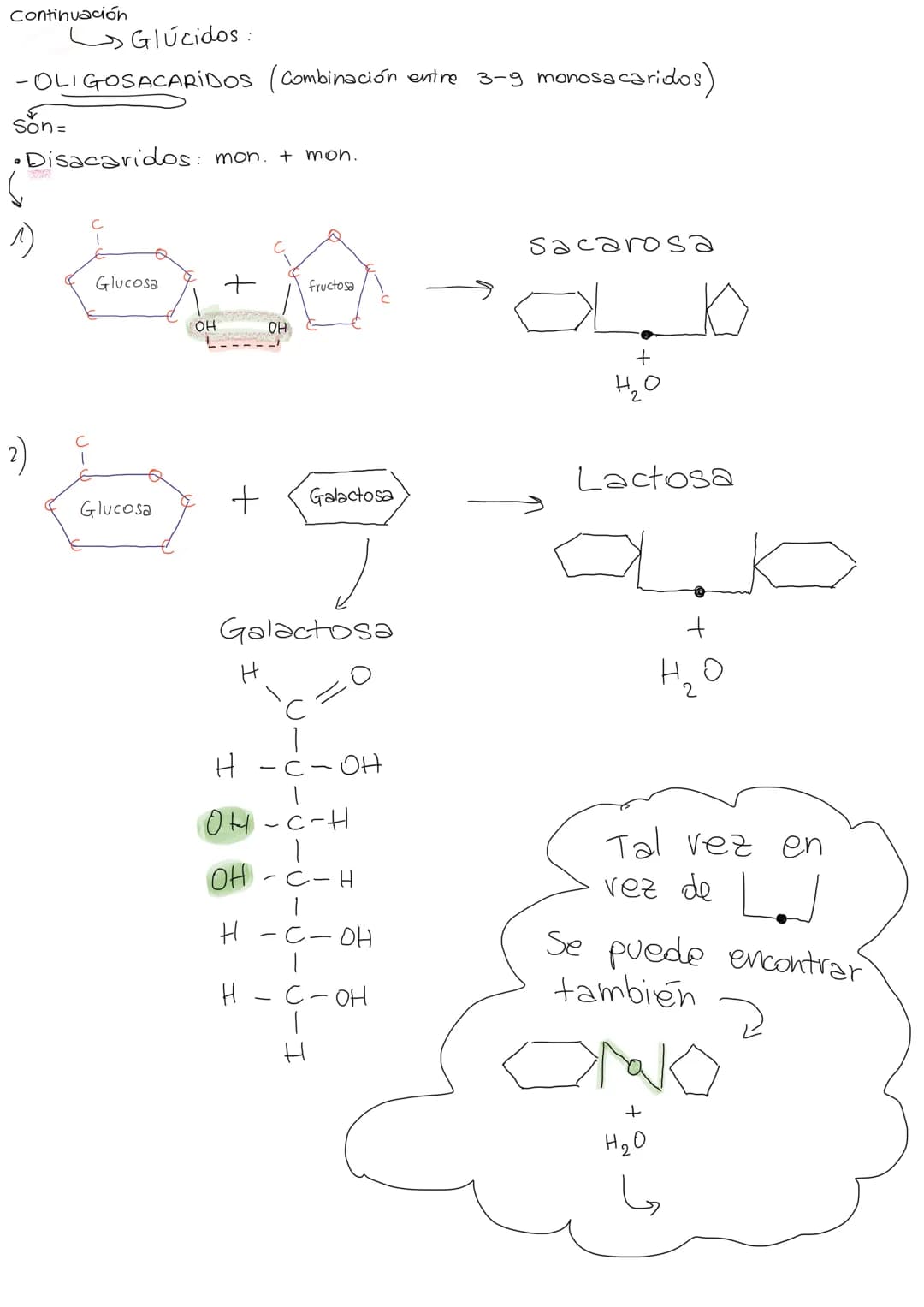 Gen: fragmento de Cromosoma que sintetiza
una característica concreta
(ej. color ojos, pelo...)
MUTACIONES: Son el principio de la Biodiver