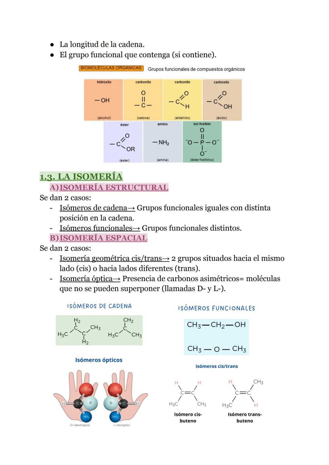 # BIOLOGÍA 1º BACH
## TEMA 1: LA BASE MOLECULAR DE LA VIDA
### 1. LA COMPOSICIÓN DE LA MATERIA VIVA
Características de los seres vivos:
* Ti
