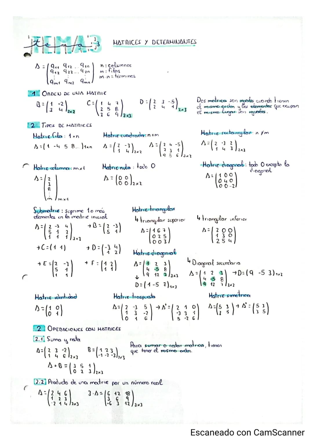 # TEMA 3 MATRICES Y DETERMINANTES
$\Delta = \begin{pmatrix} a_{11} & a_{12} & ... & a_{1n} \\ a_{21} & a_{22} & ... & a_{2n} \\ ... & ... &