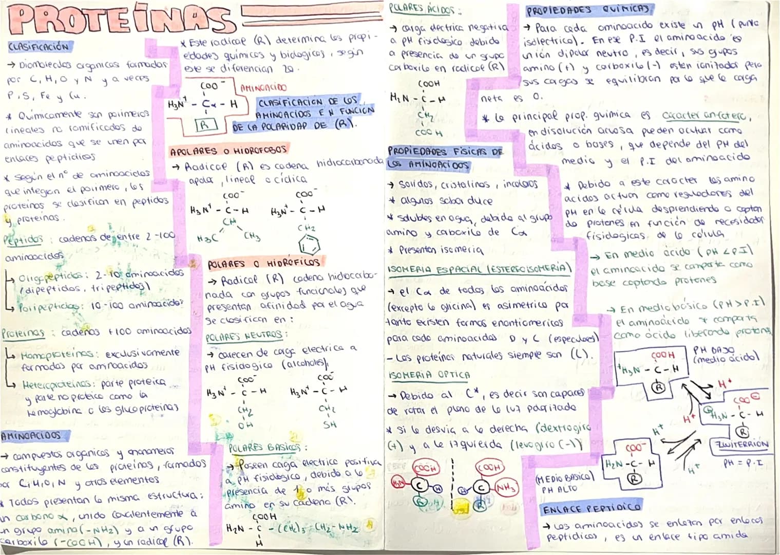 PROTEINAS
# CLASIFICACIÓN
- Diombleados organicas formadar por C, H, O Y N y a veces P.S, Fe y Cu.
- Quimicamente son porimeros Lineales no