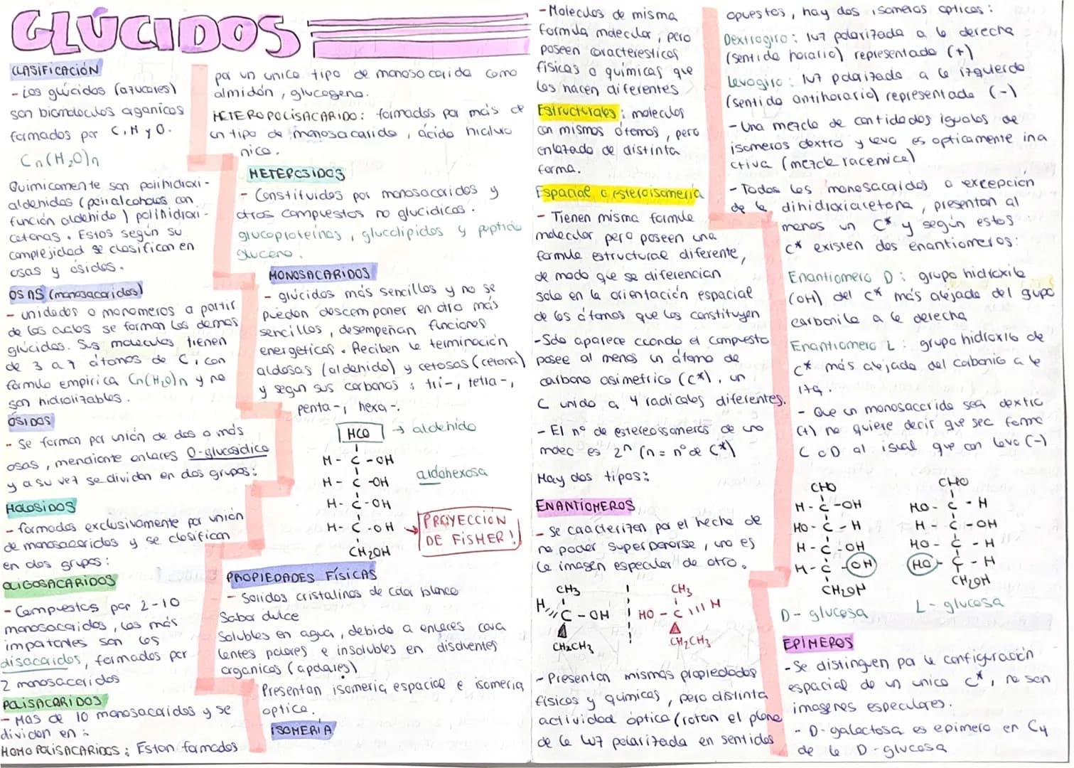 # GLÚCIDOS
## CLASIFICACIÓN
- Los glúcidos (azúcares)
son biomoléculas orgánicas
formadas por C, H y O.
$C_n(H_2O)_n$
Químicamente son po
