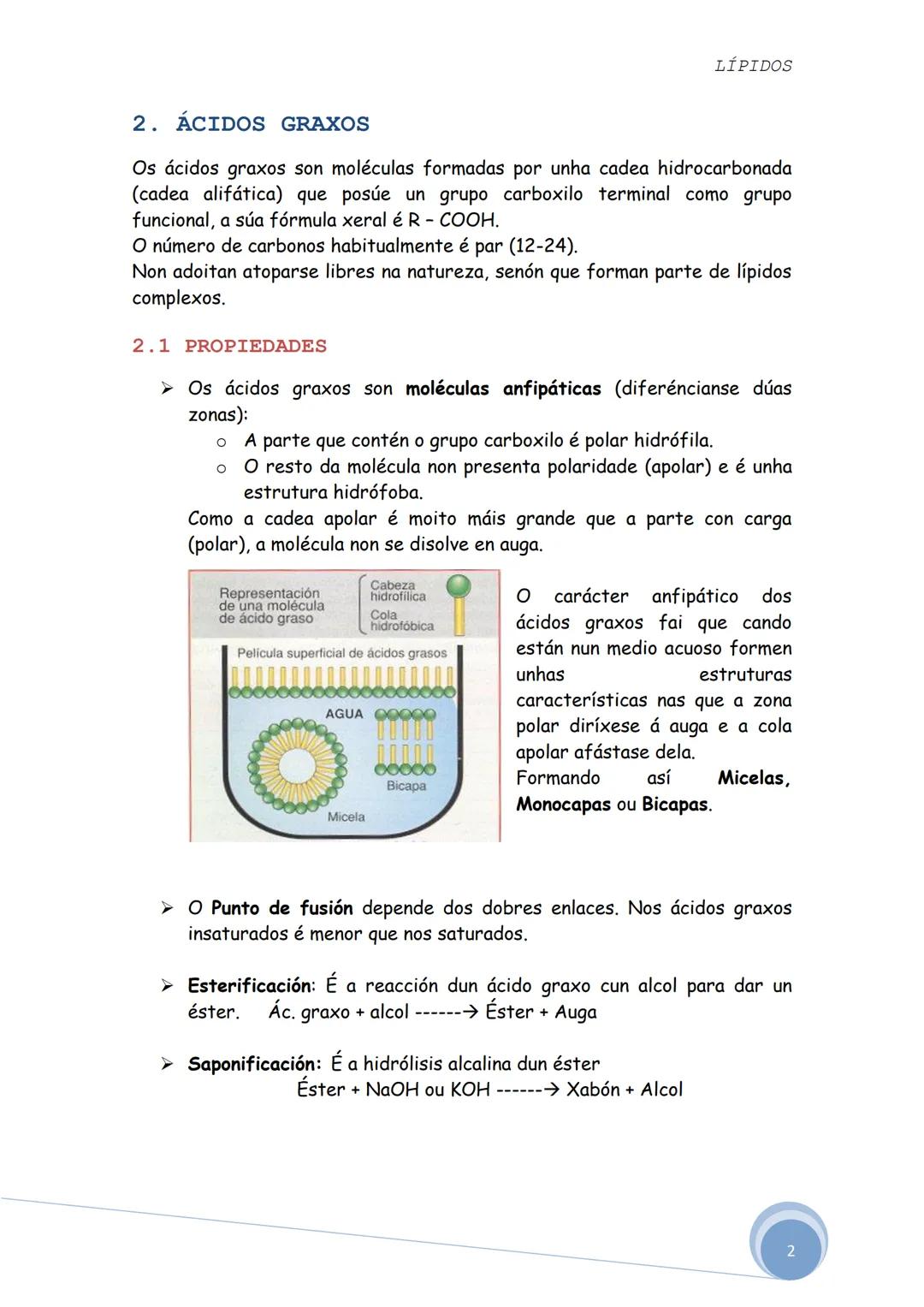 LÍPIDOS
Os lípidos son biomoléculas orgánicas formadas por C, H e O. Ás veces
poden aparecer nalgúns compostos P, N e S.
Constitúen un grupo