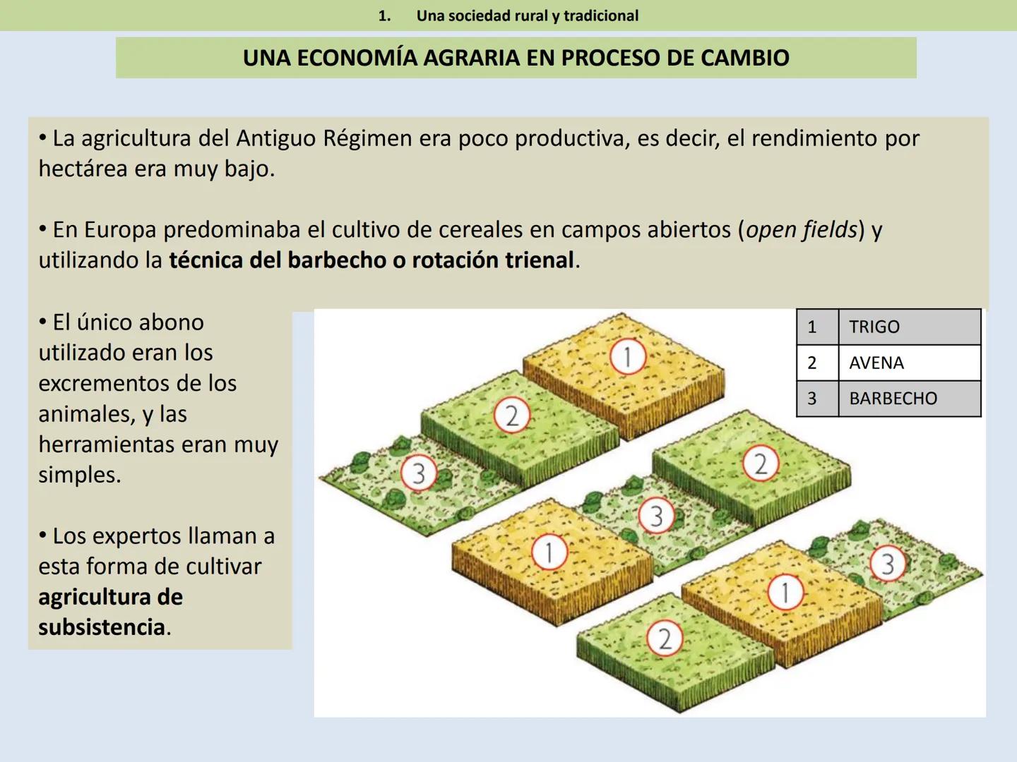 HISTORIA DEL MUNDO CONTEMPORÁNEO
1º BACHILLERATO
TEMA 1.
EL ANTIGUO RÉGIMEN Y LA ILUSTRACIÓN. ÍNDICE
1. Una sociedad rural y tradicional
2.