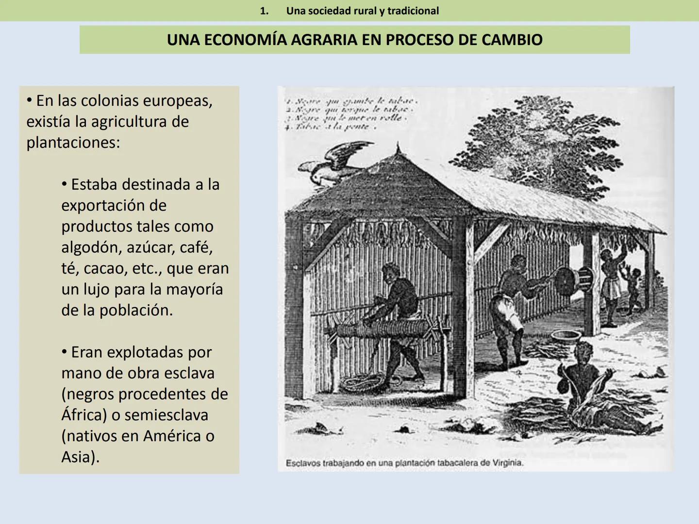 HISTORIA DEL MUNDO CONTEMPORÁNEO
1º BACHILLERATO
TEMA 1.
EL ANTIGUO RÉGIMEN Y LA ILUSTRACIÓN. ÍNDICE
1. Una sociedad rural y tradicional
2.
