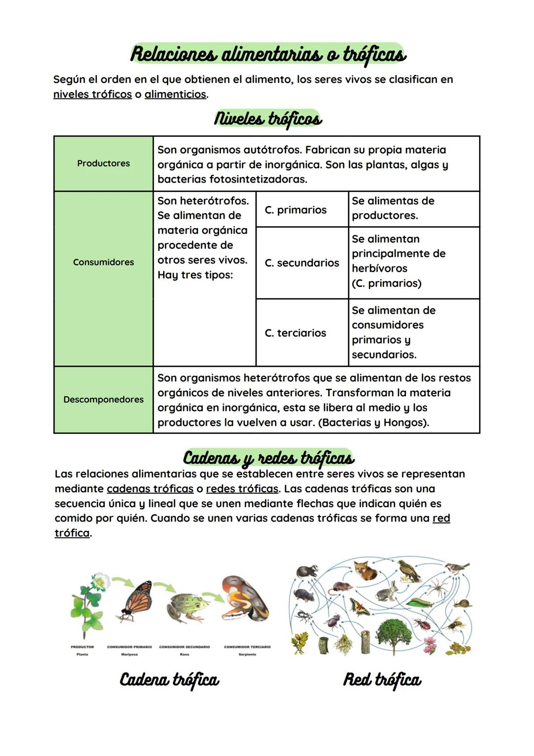 Biología Tema 4
Ecosistema: conjunto de seres vivos y factores ambientales que existen en una
zona determinada, y las relaciones que se esta