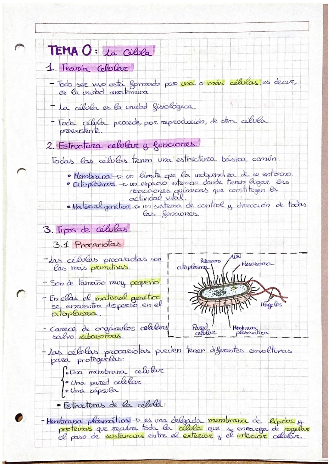 TEMA O: La Célula
1. Teoría Celular
•Todo ser vivo está formado por una o más células, es decir,
es la unidad anatomica
-
-
-
•Tock célula p