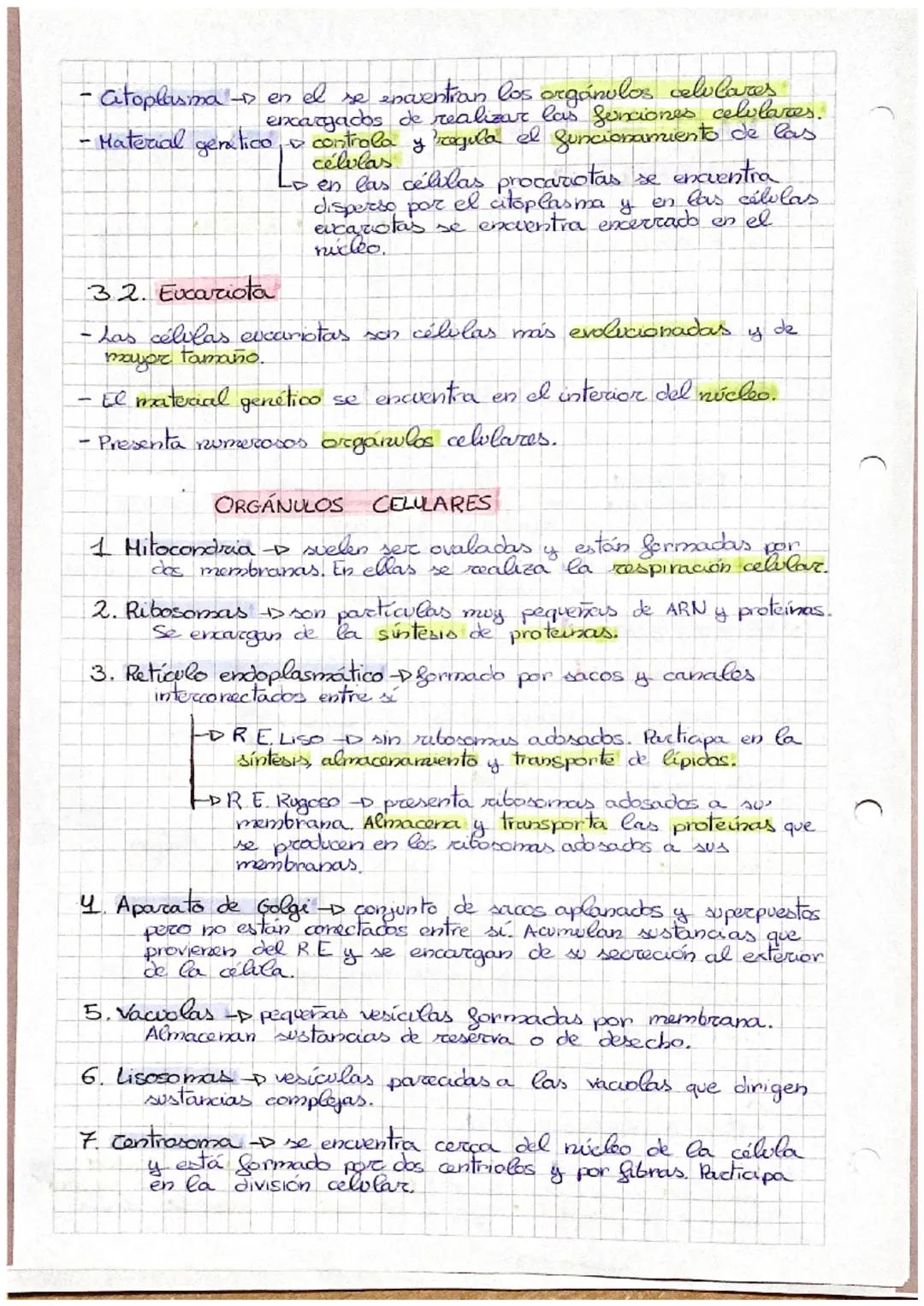 TEMA O: La Célula
1. Teoría Celular
•Todo ser vivo está formado por una o más células, es decir,
es la unidad anatomica
-
-
-
•Tock célula p