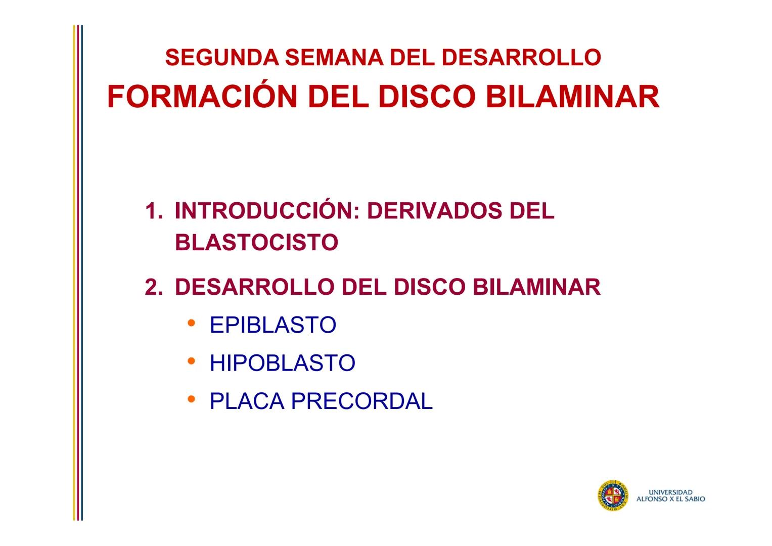 EMBRIOLOGÍA
TEMA 4
SEGUNDA SEMANA DEL DESARROLLO
FORMACIÓN DEL DISCO
BILAMINAR
PROF. DRA. M. ENCARNACIÓN FERNÁNDEZ CONTRERAS
PROF. DRA