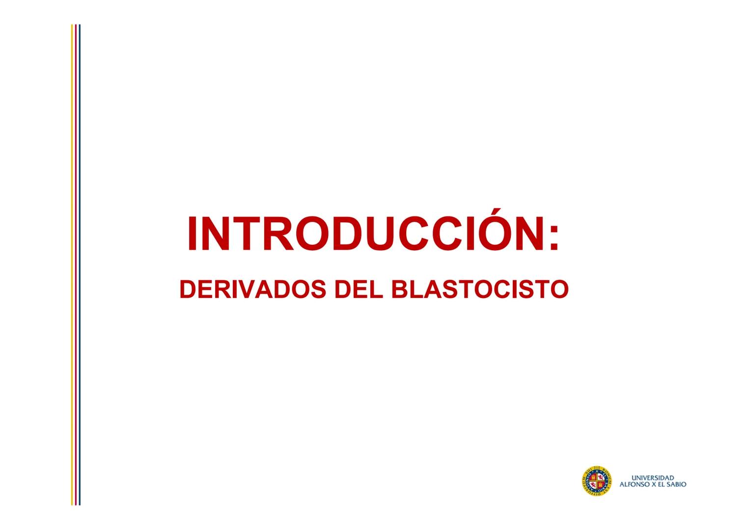 EMBRIOLOGÍA
TEMA 4
SEGUNDA SEMANA DEL DESARROLLO
FORMACIÓN DEL DISCO
BILAMINAR
PROF. DRA. M. ENCARNACIÓN FERNÁNDEZ CONTRERAS
PROF. DRA