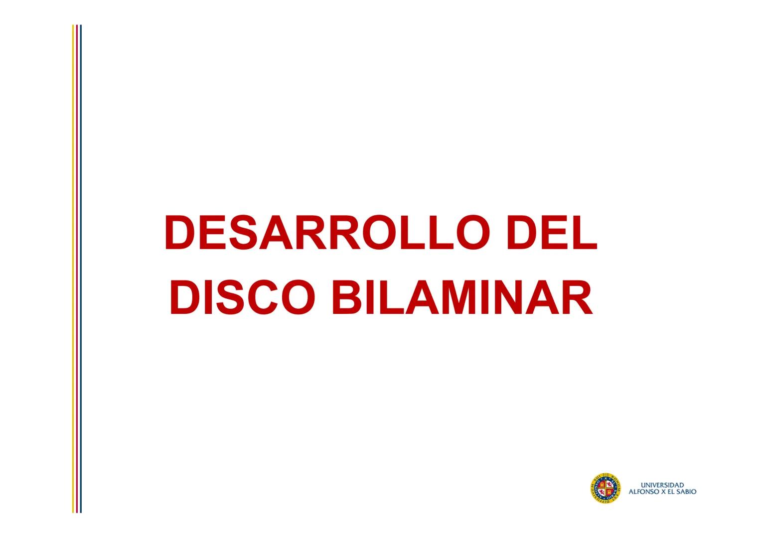 EMBRIOLOGÍA
TEMA 4
SEGUNDA SEMANA DEL DESARROLLO
FORMACIÓN DEL DISCO
BILAMINAR
PROF. DRA. M. ENCARNACIÓN FERNÁNDEZ CONTRERAS
PROF. DRA