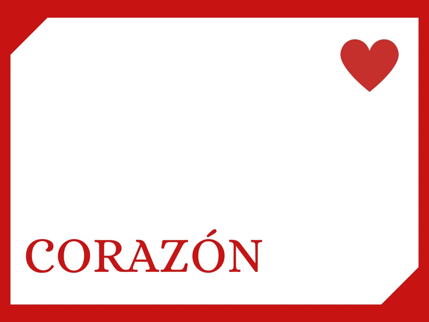 CORAZÓN Parte derecha: bombea sangre pobre en
O2 a los pulmones.
Parte izquierda: bombea sangre pobre en
O2 a los pulmones. Aurícula: que re
