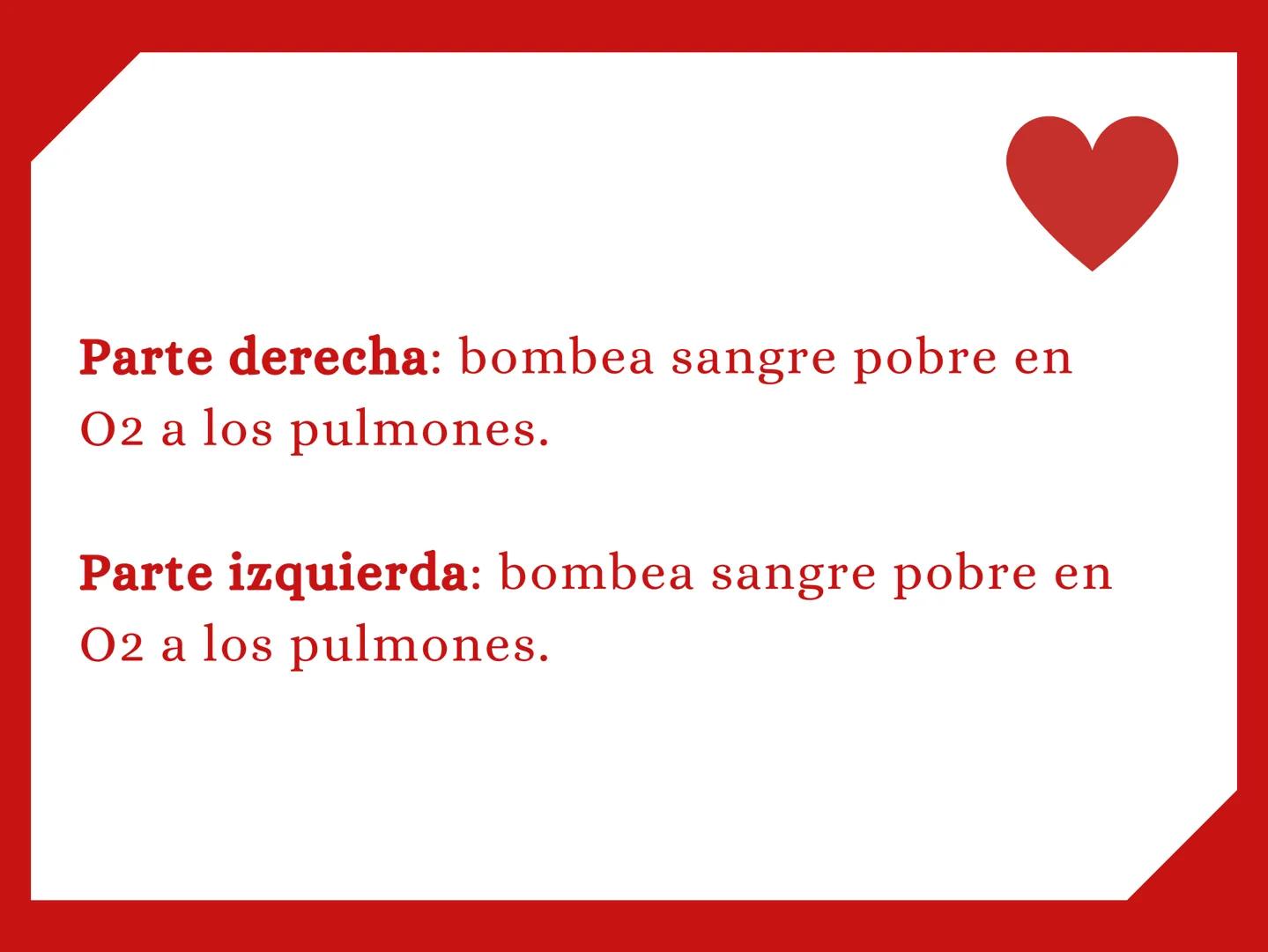CORAZÓN Parte derecha: bombea sangre pobre en
O2 a los pulmones.
Parte izquierda: bombea sangre pobre en
O2 a los pulmones. Aurícula: que re