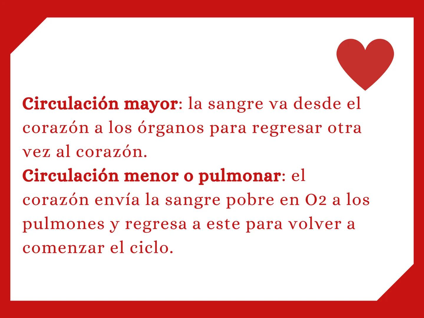 CORAZÓN Parte derecha: bombea sangre pobre en
O2 a los pulmones.
Parte izquierda: bombea sangre pobre en
O2 a los pulmones. Aurícula: que re