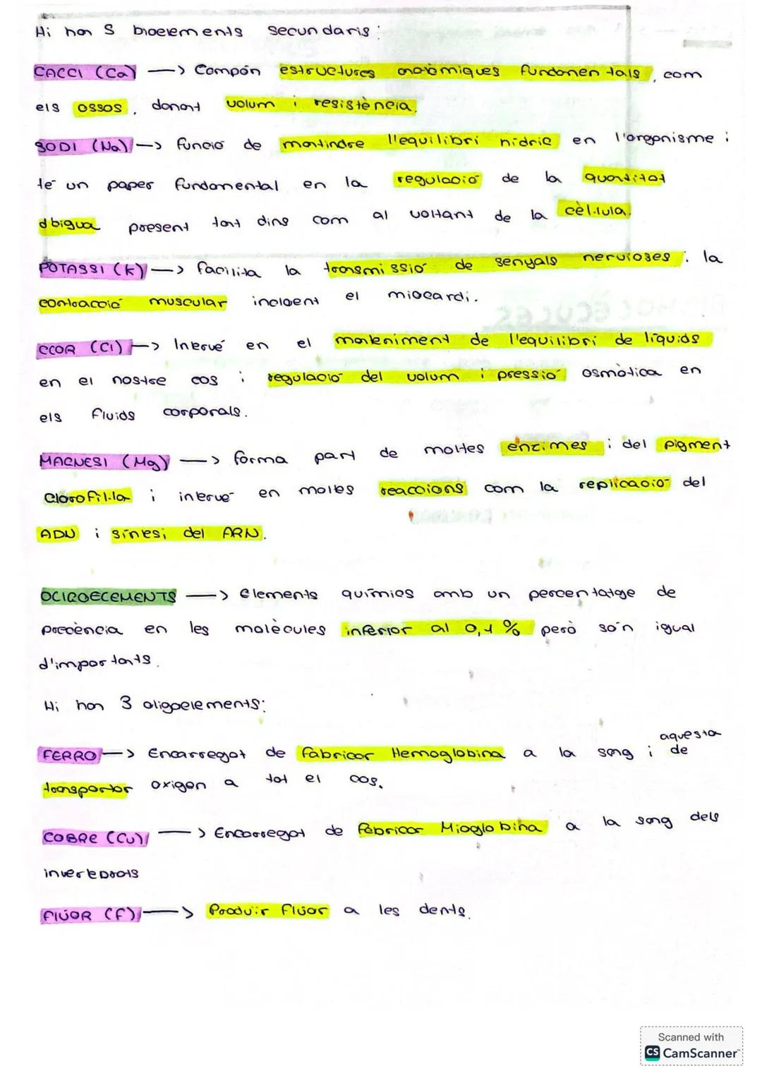 # BIO BLOC 1
Els essers vius estan formats per una sèrie de elements químics
que 360 els mateixos que formen part de materials ines
de la T