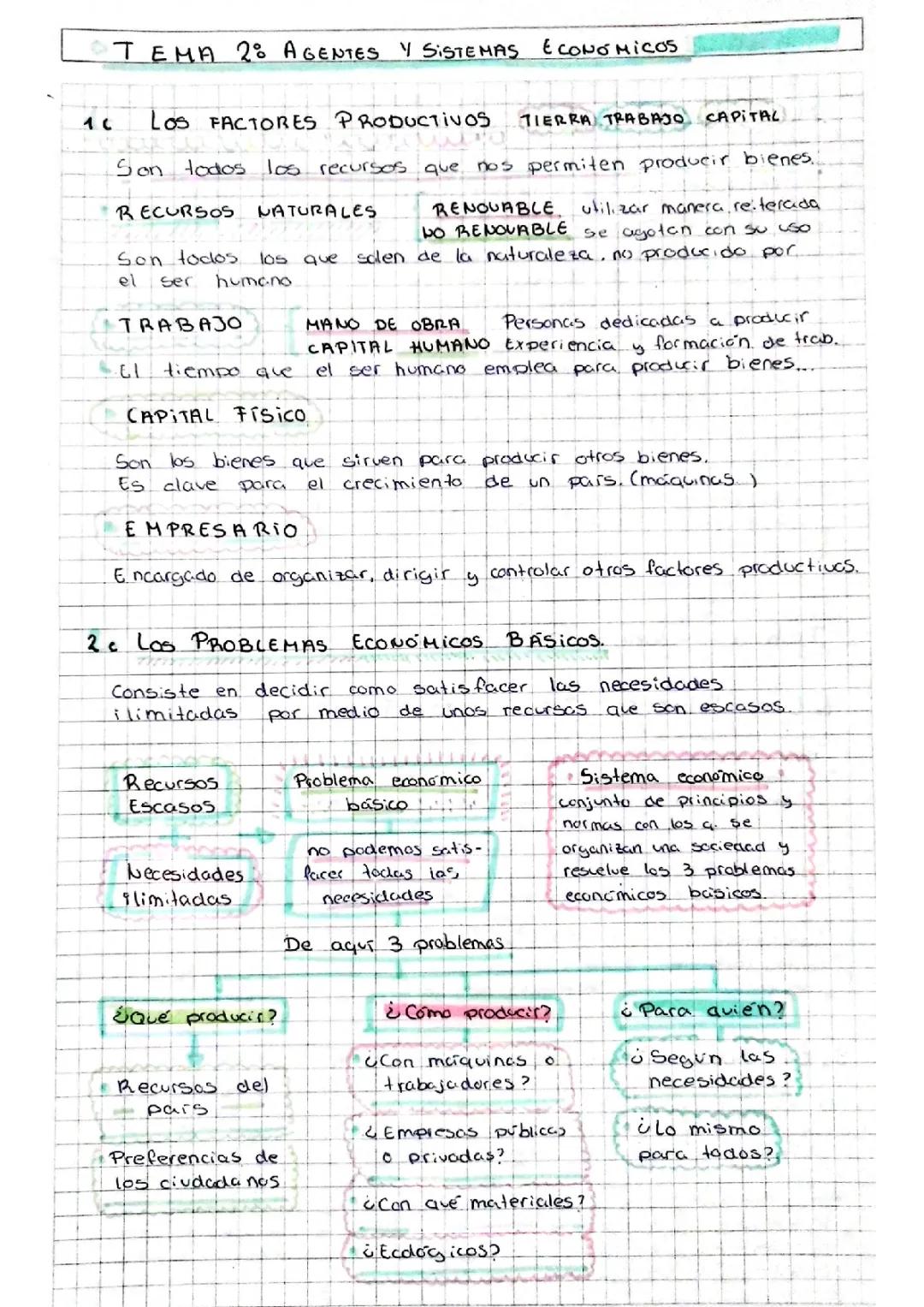 Tema2: Agentes y Sistemas económicos, economía resumen