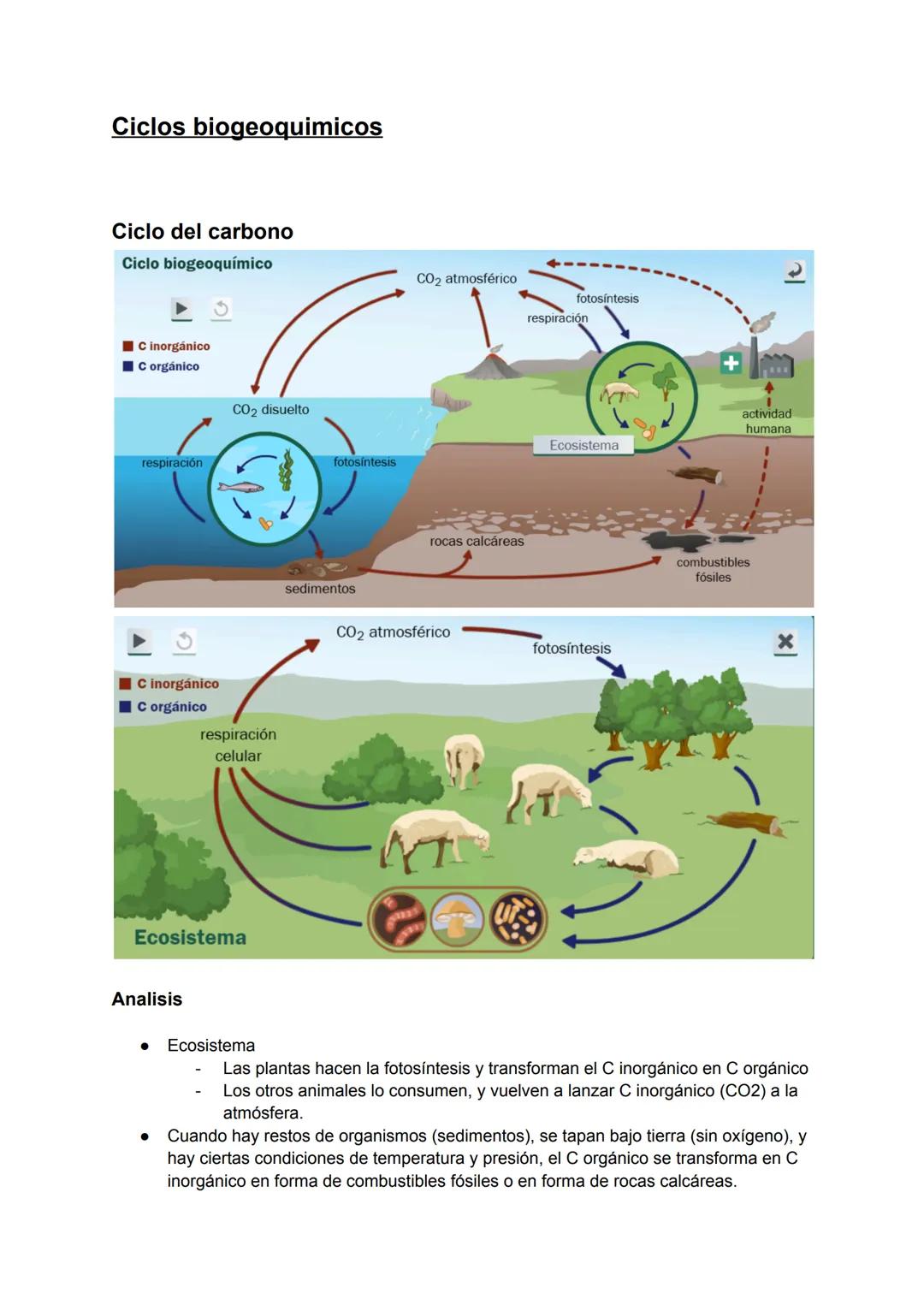 ## Ecología
## Ecosistemas
* **Componente biótico** → Algo que tiene vida
* **Componente abiótico** → Algo que no tiene vida
* **Población