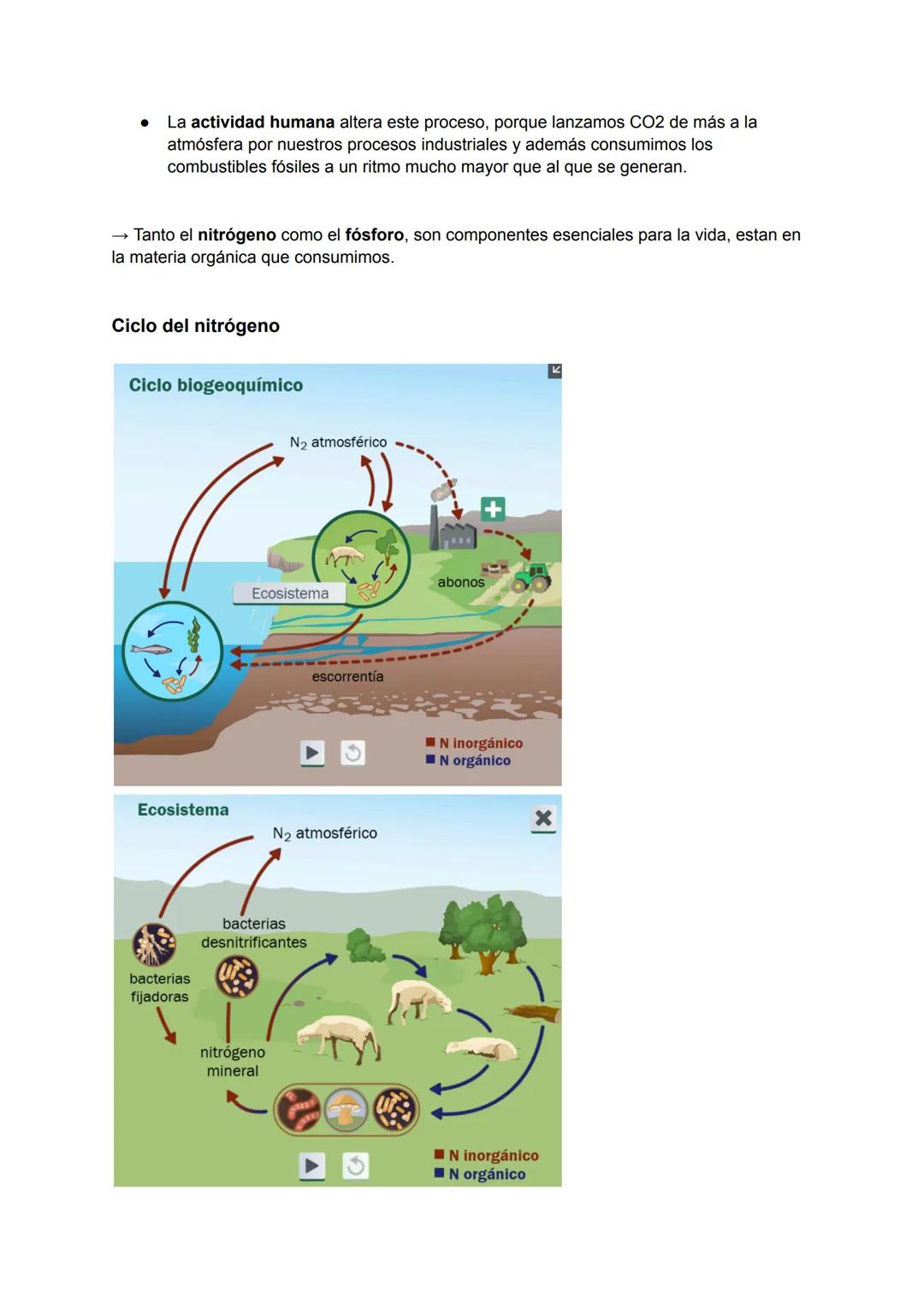 ## Ecología
## Ecosistemas
* **Componente biótico** → Algo que tiene vida
* **Componente abiótico** → Algo que no tiene vida
* **Población