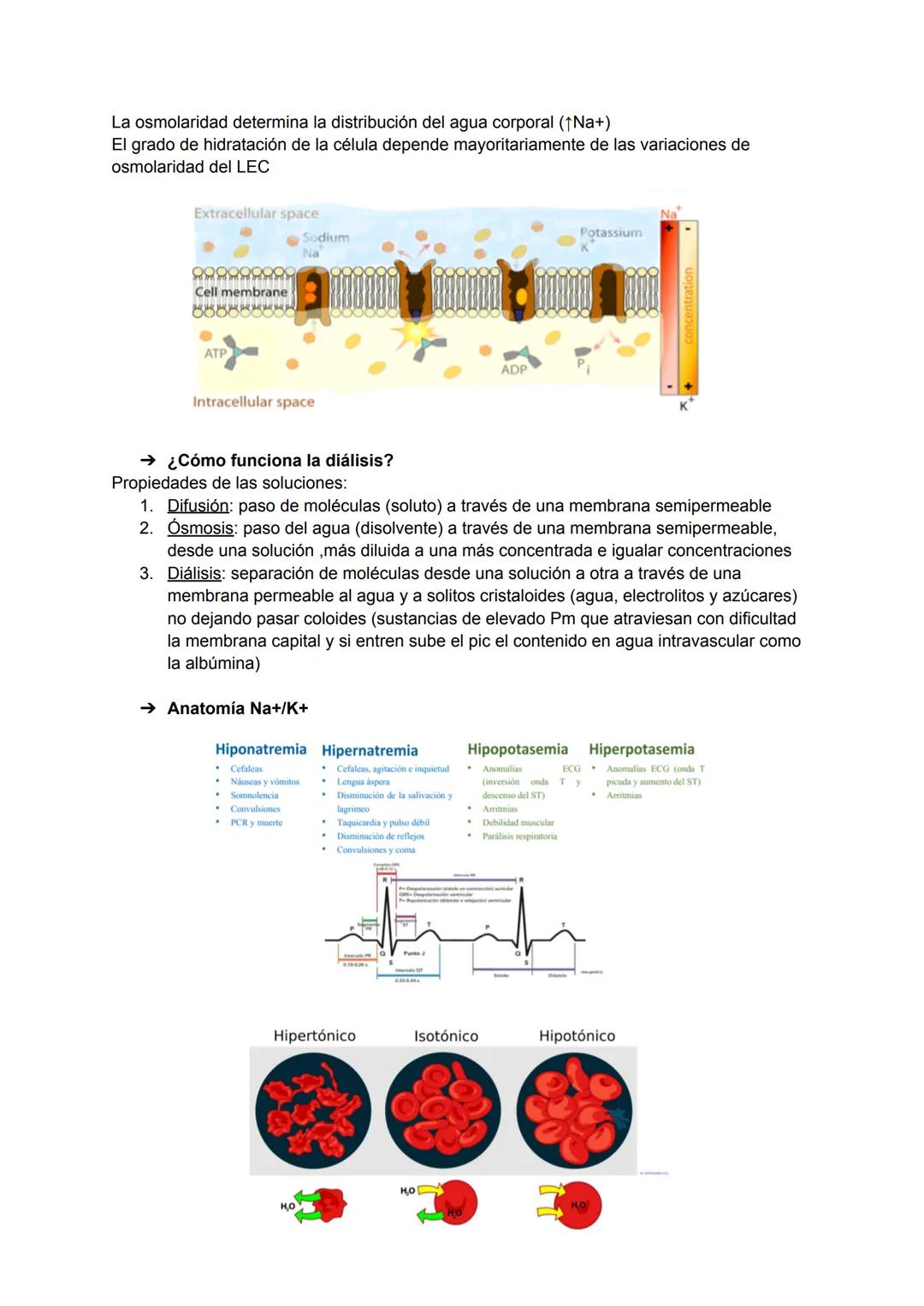 → Interés de la bioquímica
Estudio de la base molecular de la vida, la estructura y función de las biomoléculas y la
interrelación entre ell