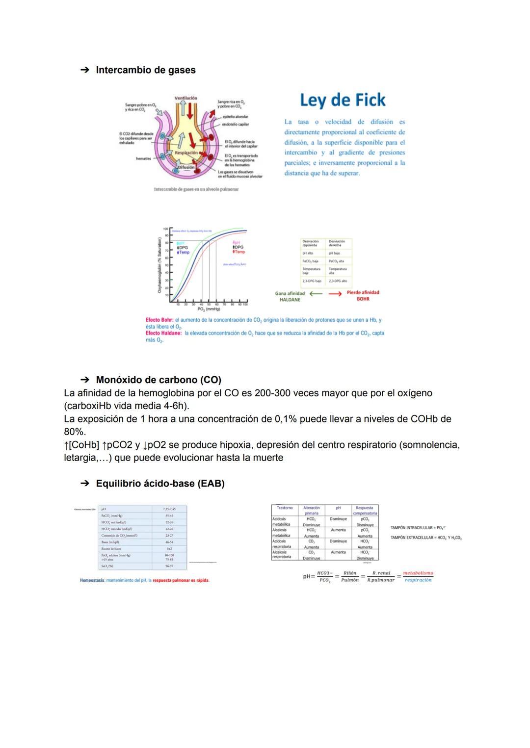 → Interés de la bioquímica
Estudio de la base molecular de la vida, la estructura y función de las biomoléculas y la
interrelación entre ell
