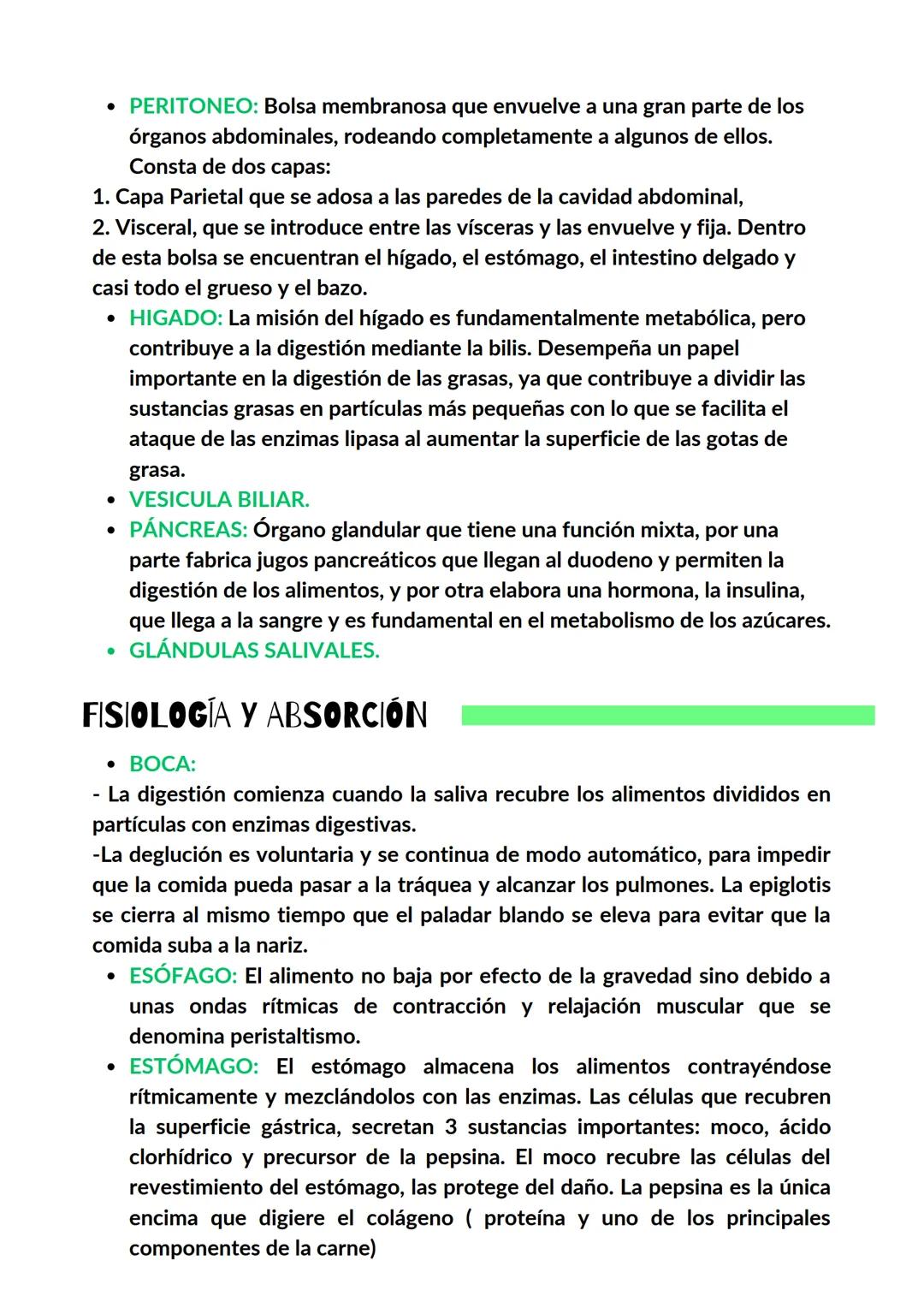 APARATO DIGESTIVO
ANATOMÍA DEL APARATO DIGESTIVO
• LA BOCA.
•
LENGUA:(PAPILAS GUSTATIVAS): permiten disfrutar de las
sensaciones del gusto y