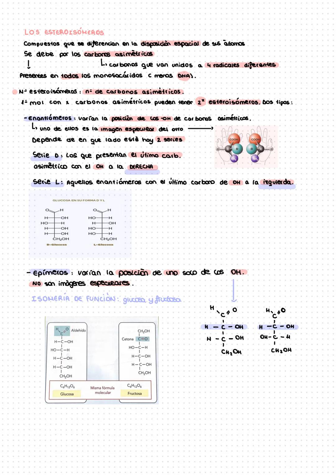 # TEMA 1: LOS GLÚCIDOS
1- características generales y clasificación,
Son compuestos/biomolèculas formadas por C, H, O en la proporción qu