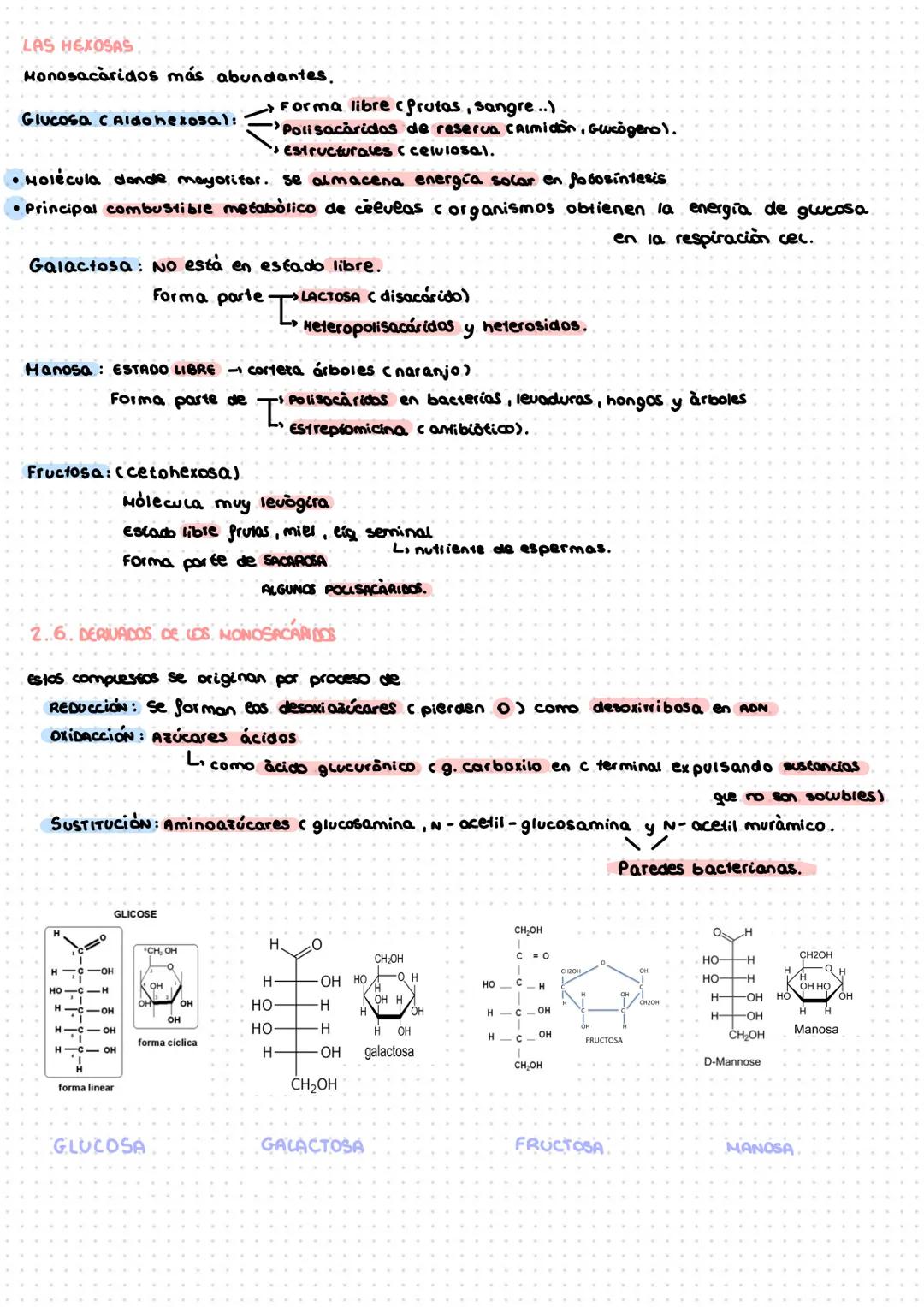 # TEMA 1: LOS GLÚCIDOS
1- características generales y clasificación,
Son compuestos/biomolèculas formadas por C, H, O en la proporción qu