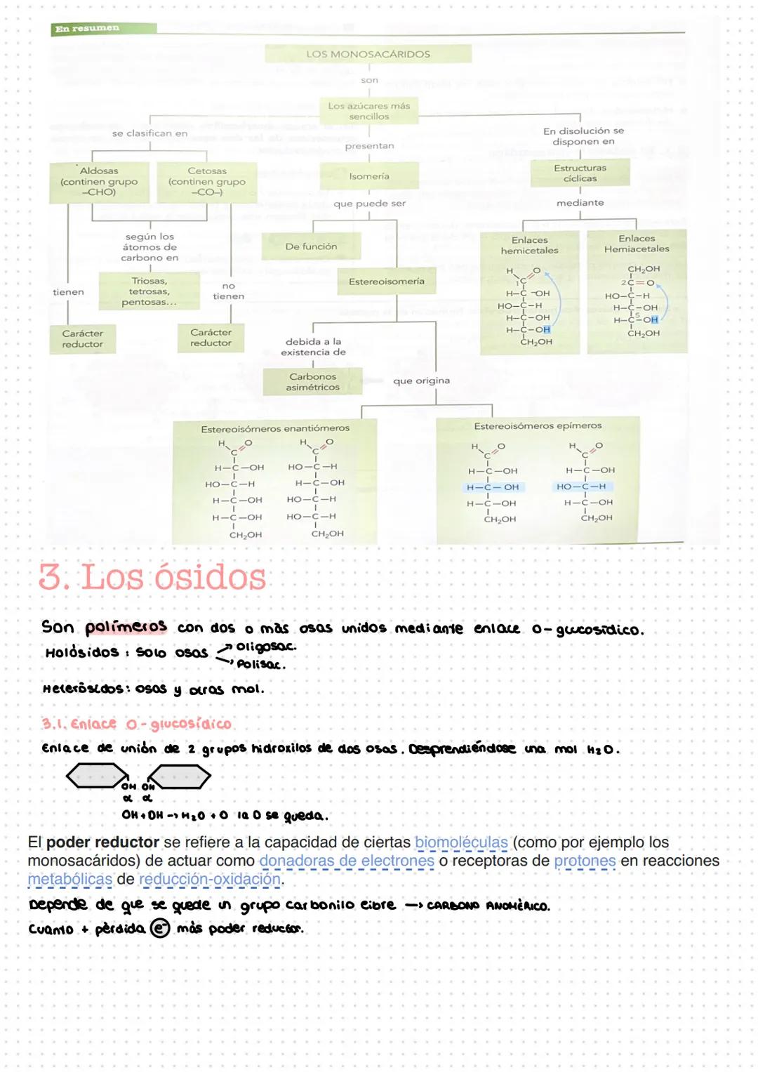 # TEMA 1: LOS GLÚCIDOS
1- características generales y clasificación,
Son compuestos/biomolèculas formadas por C, H, O en la proporción qu