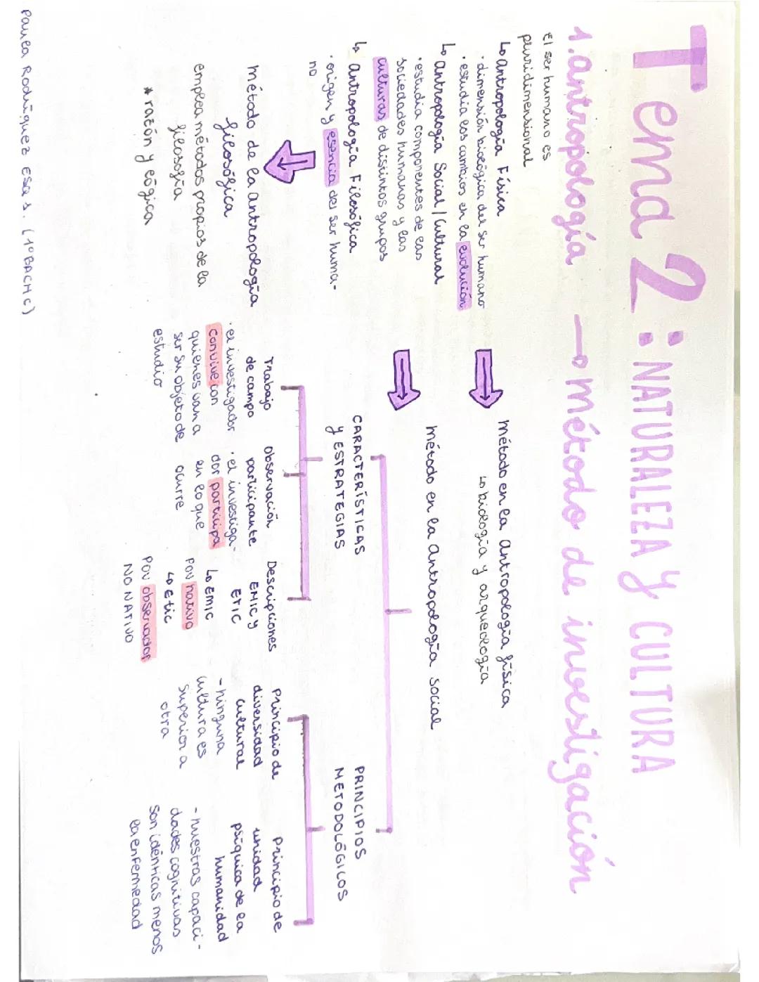 TEMA 2: NATURALEZA Y CULTURA DEL SER HUMANO (filosofía)