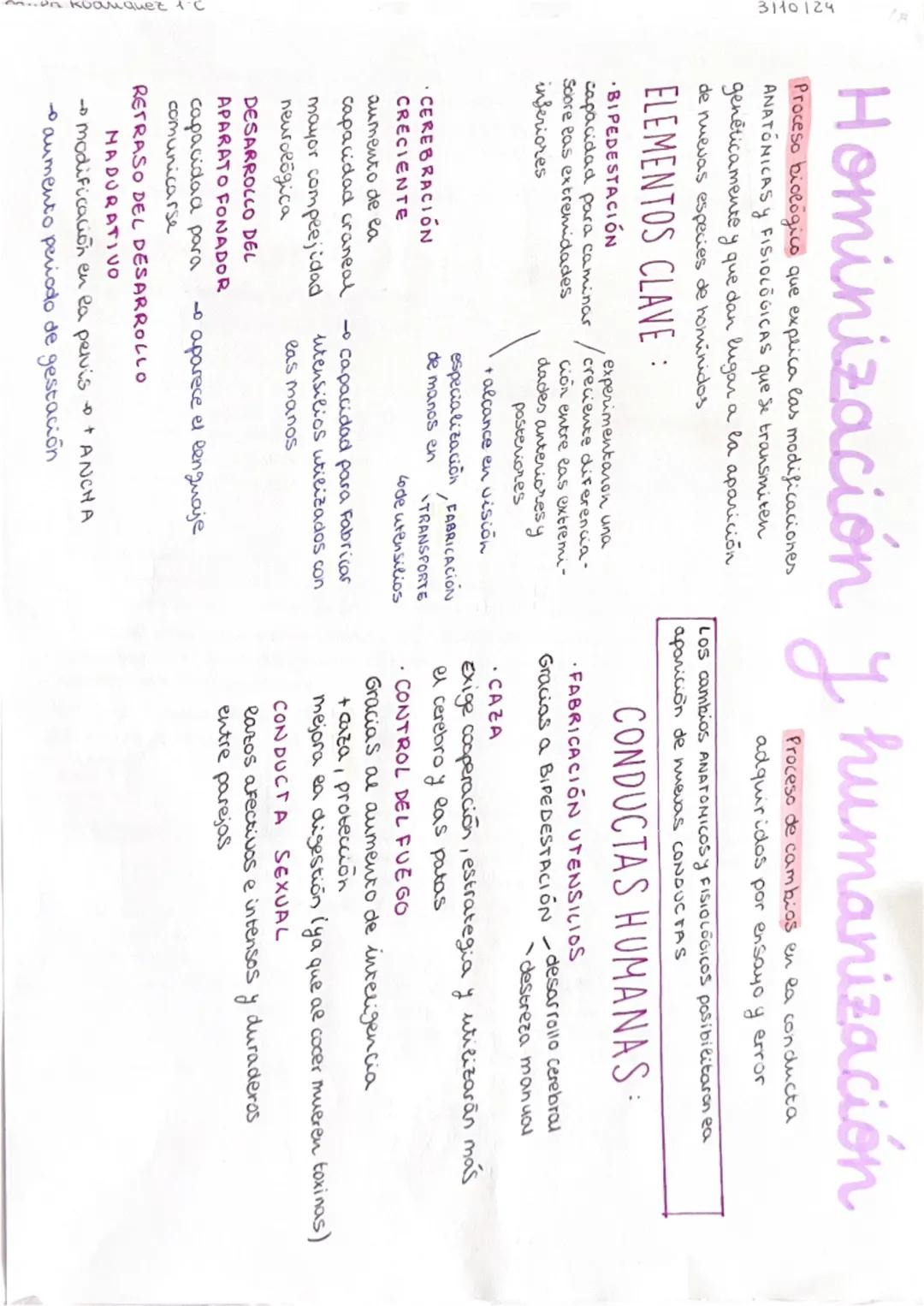 Tema 2: NATURALEZA Y CULTURA
1. antropología
El ser humano es
pluridimensional
Lo antropologia Física
Lo
ما
-dimensión biológica del ser hum