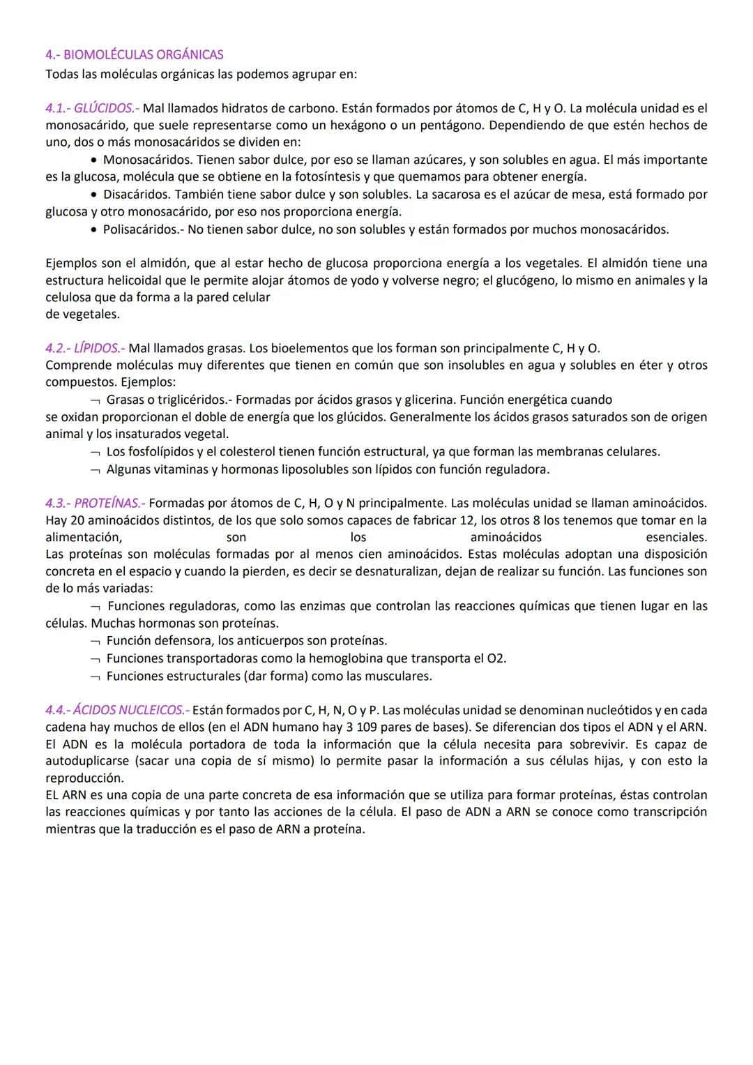 ¿DE QUÉ ESTAMOS HECHOS? LAS MOLÉCULAS
CONCEPTOS BÁSICOS
Los seres vivos observables a simple vista son pluricelulares, ya que las células se