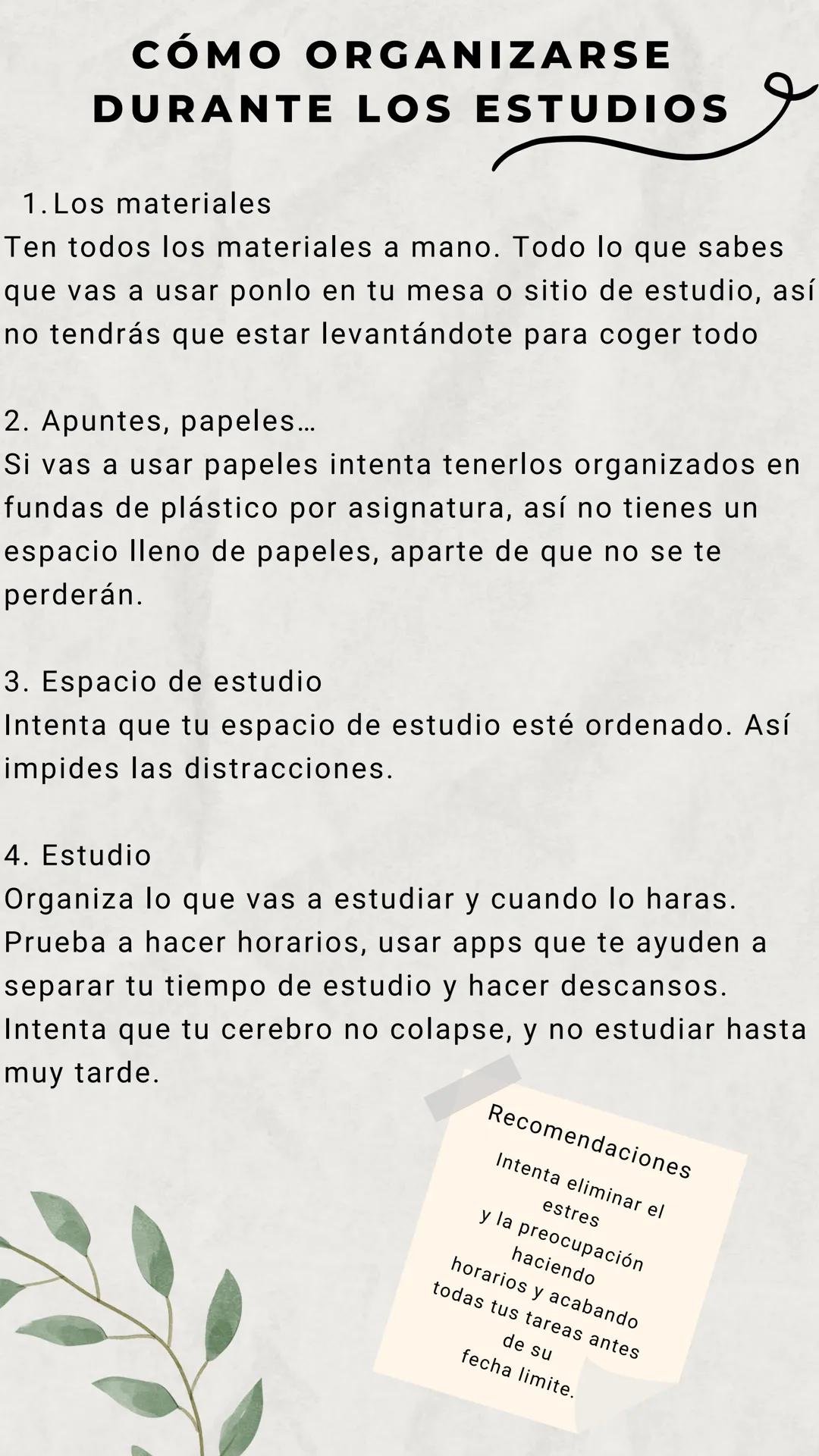 Cómo organizarse durante los estudios