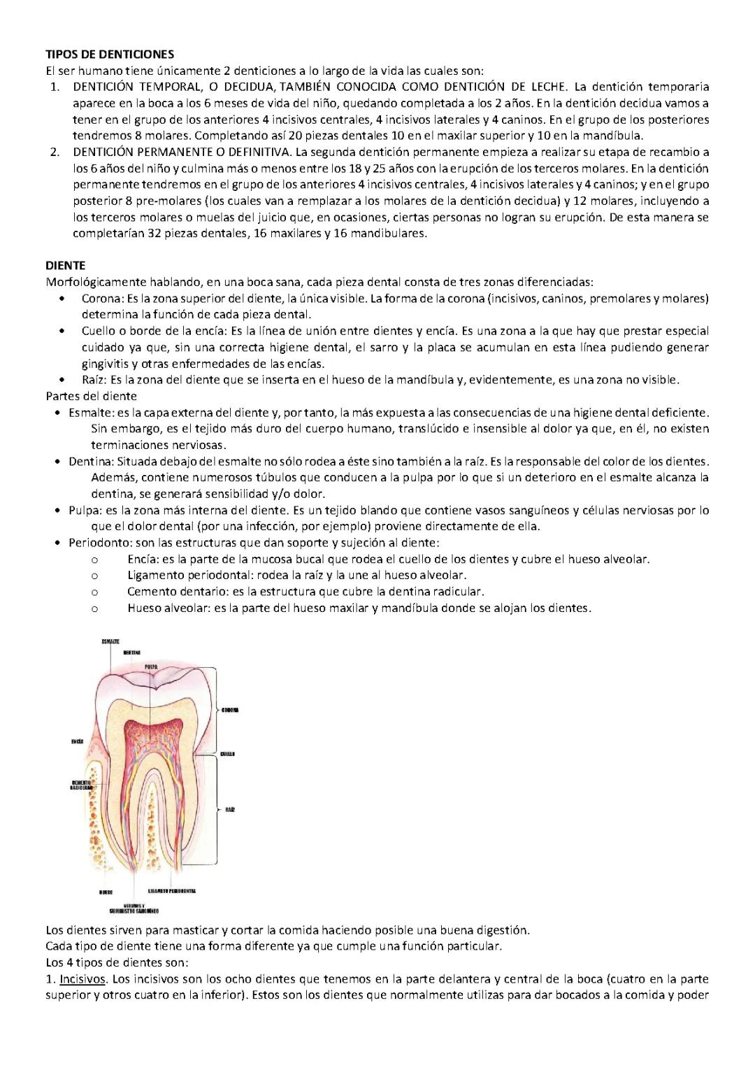 Tipos de denticiones
