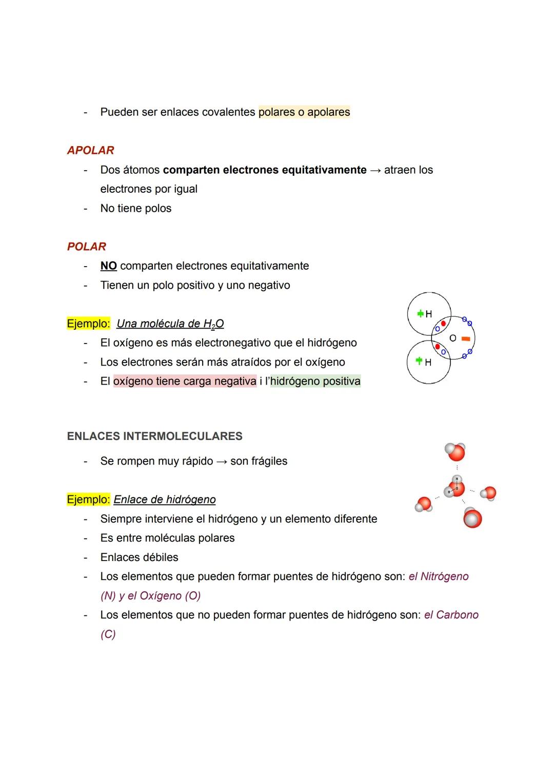RESUMEN BIOLOGÍA TEMA 1: LA COMPOSICIÓN
DE LOS SERES VIVOS
Apuntes de: 1 de Bachillerato científico
Asignatura: Biología (bioquímica)
Curso: