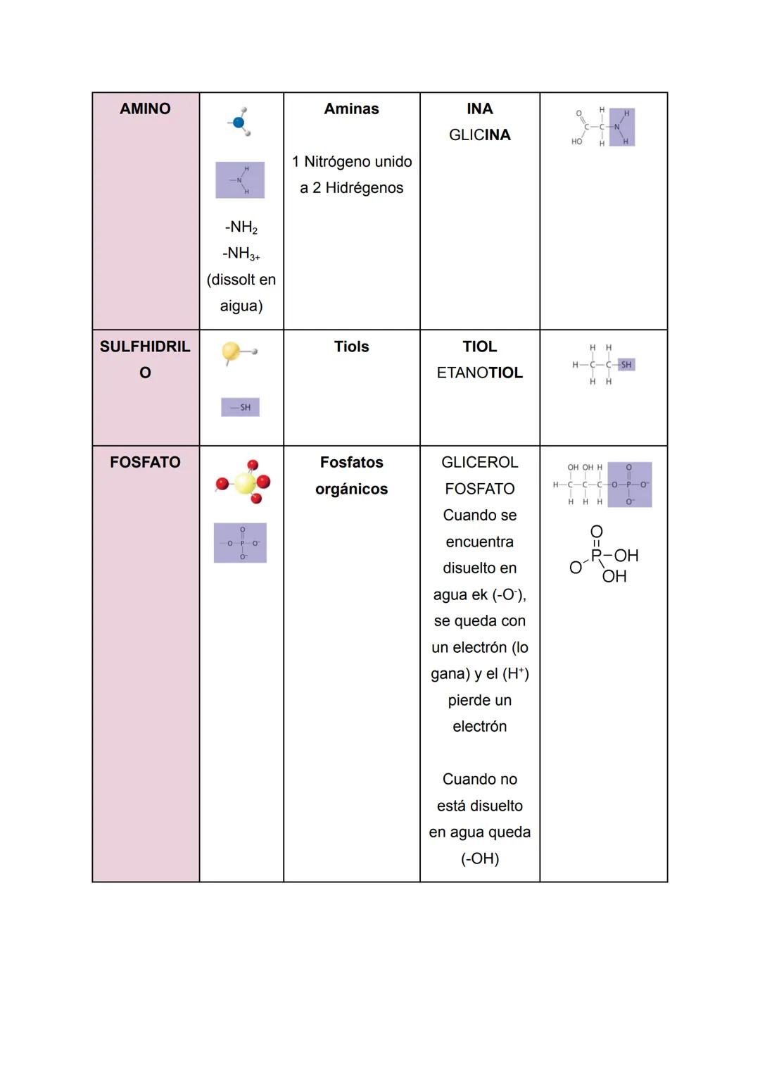 RESUMEN BIOLOGÍA TEMA 1: LA COMPOSICIÓN
DE LOS SERES VIVOS
Apuntes de: 1 de Bachillerato científico
Asignatura: Biología (bioquímica)
Curso: