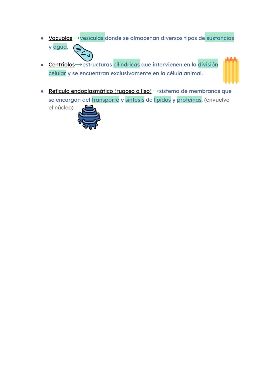 # Examen Biología 1
NIVELES DE ORGANIZACIÓN DEL SER HUMANO
* Niveles abióticos (sin vida)
1 Nivel atómico formado por bioelementos→O, C