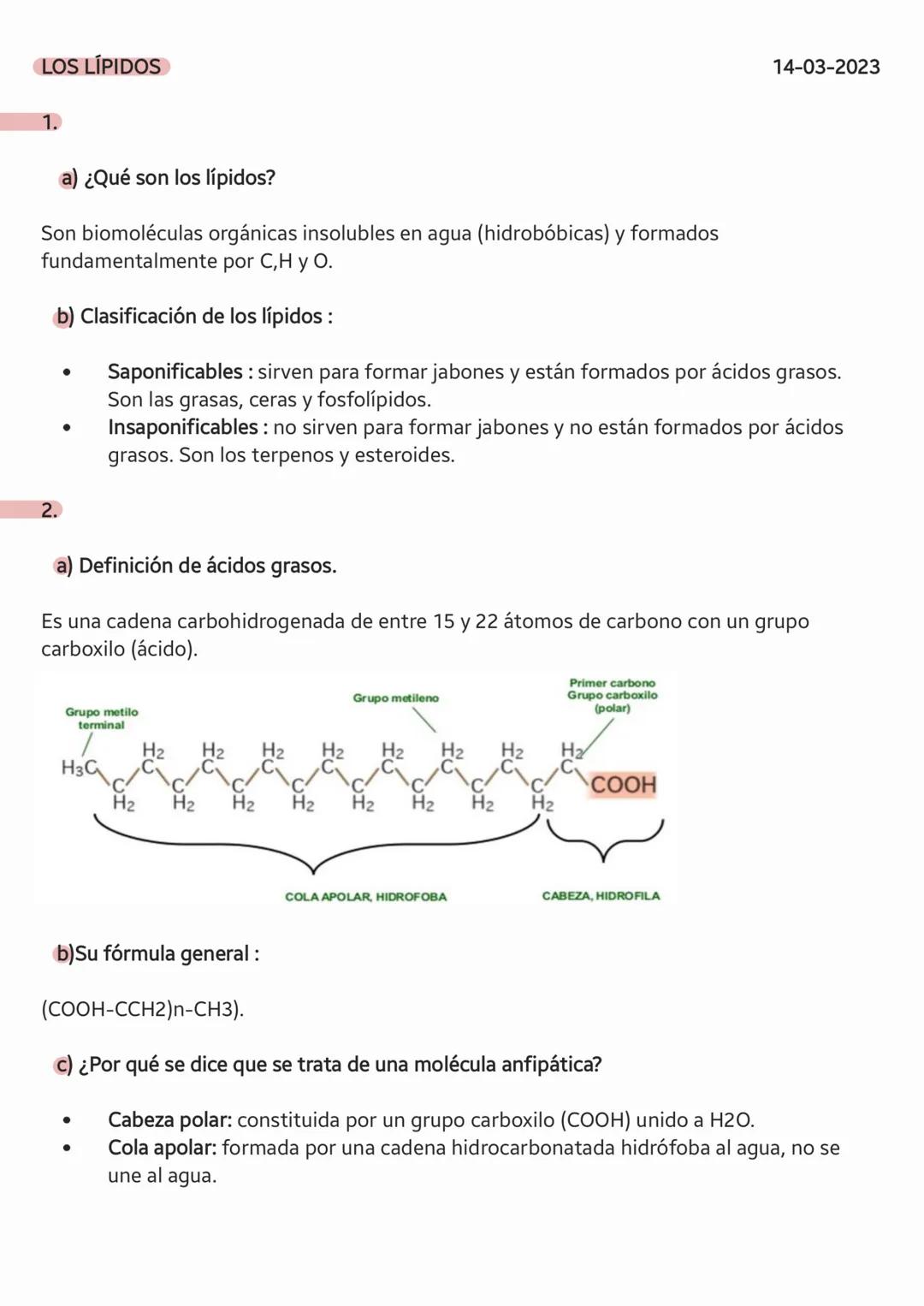 LOS
LÍPIDOS LOS LÍPIDOS
1.
a) ¿Qué son los lípidos?
Son biomoléculas orgánicas insolubles en agua (hidrobóbicas) y formados
fundamentalmente