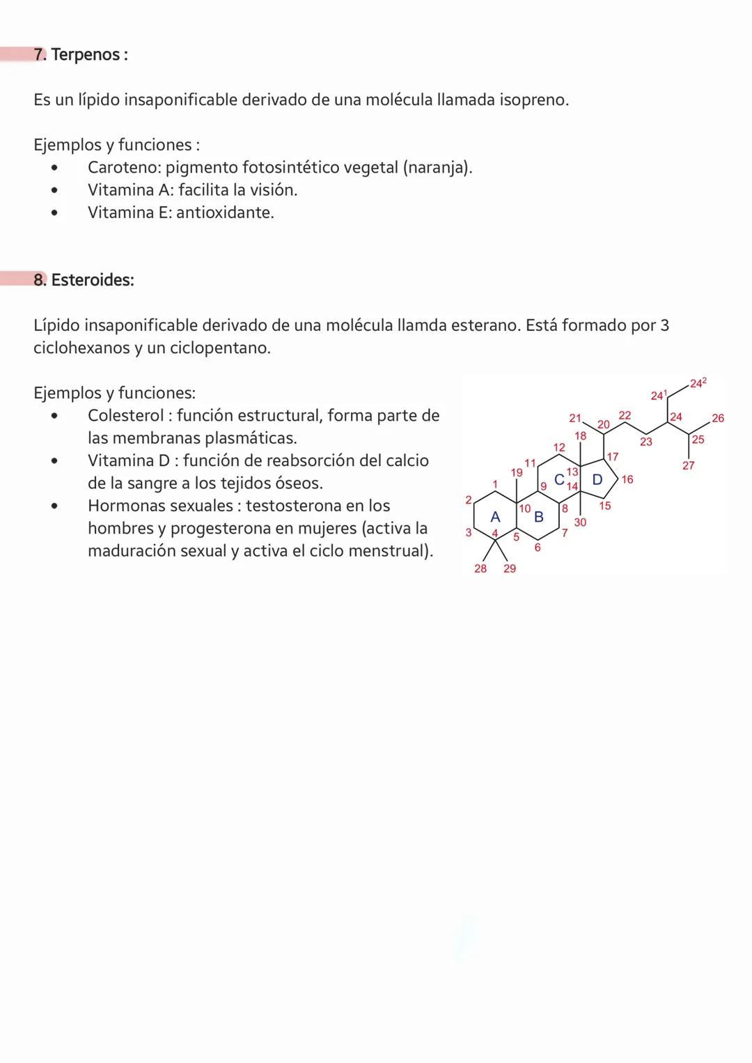 LOS
LÍPIDOS LOS LÍPIDOS
1.
a) ¿Qué son los lípidos?
Son biomoléculas orgánicas insolubles en agua (hidrobóbicas) y formados
fundamentalmente
