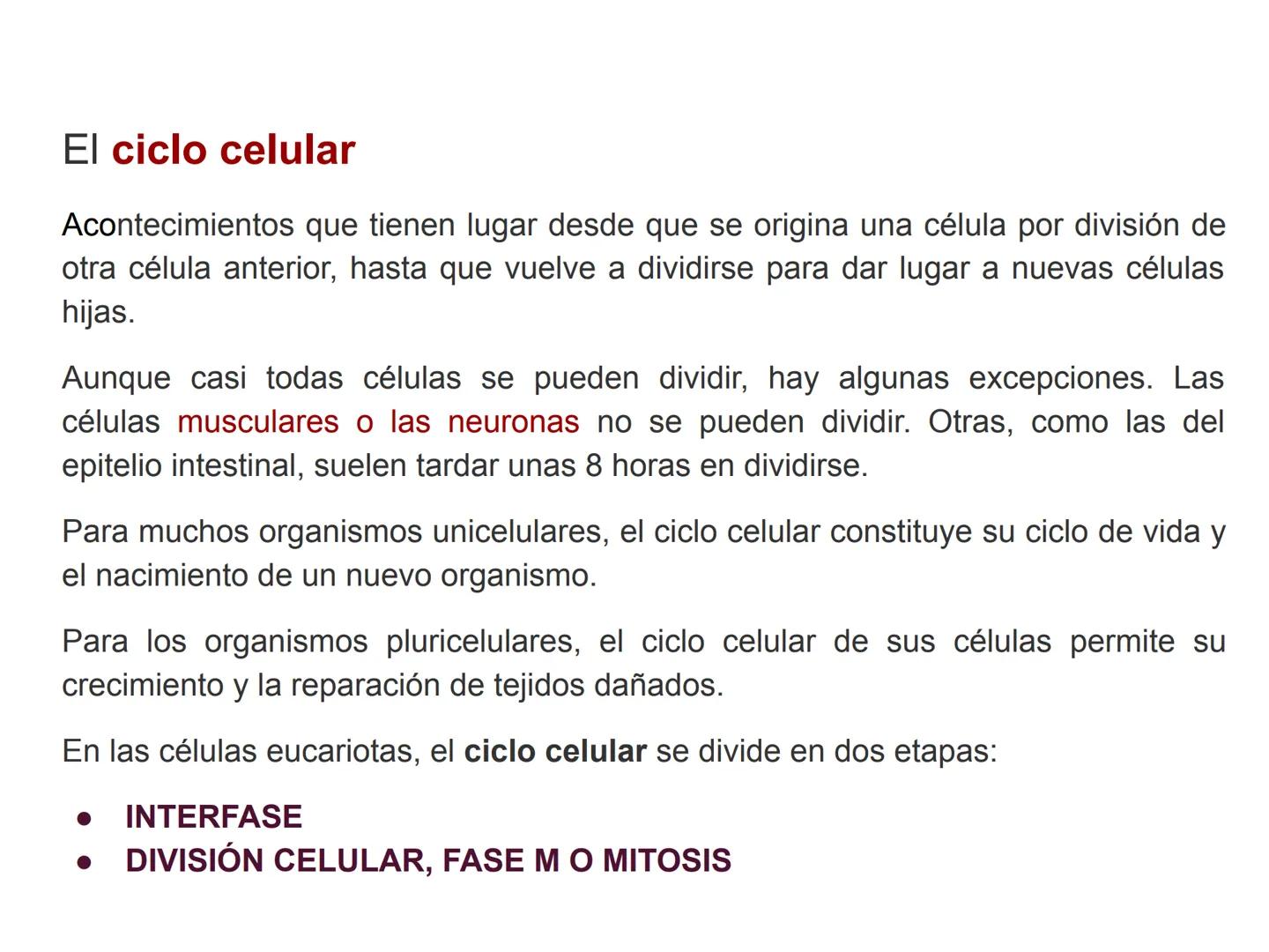 # T 1.3 El ciclo celular # El ciclo celular
Acontecimientos que tienen lugar desde que se origina una célula por división de otra célula an