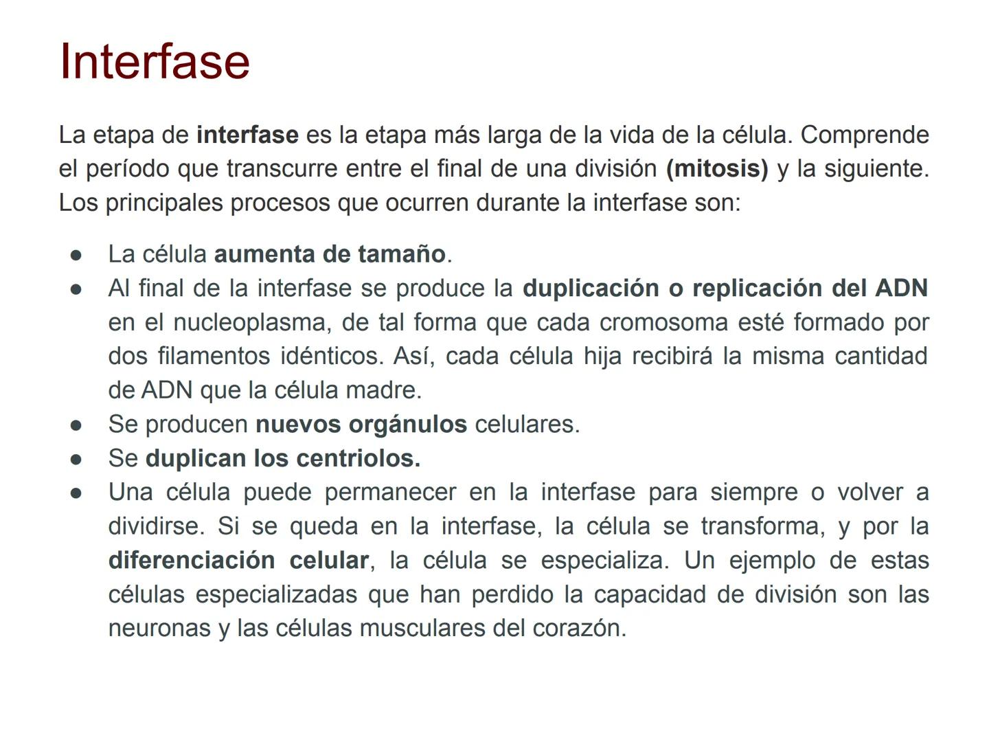 # T 1.3 El ciclo celular # El ciclo celular
Acontecimientos que tienen lugar desde que se origina una célula por división de otra célula an