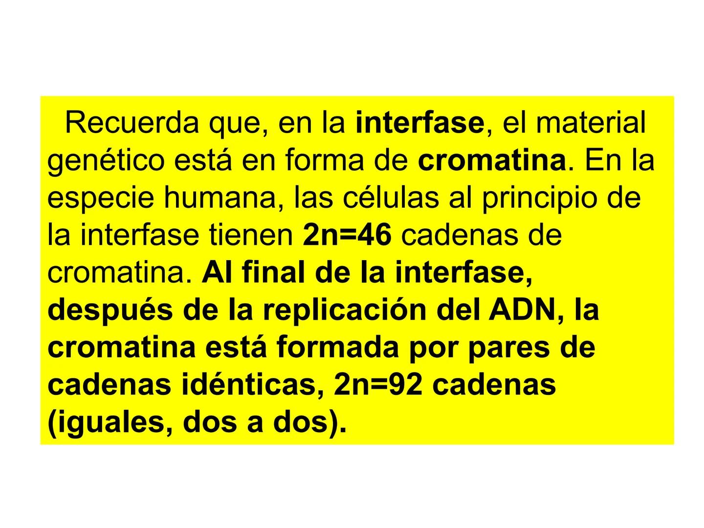 # T 1.3 El ciclo celular # El ciclo celular
Acontecimientos que tienen lugar desde que se origina una célula por división de otra célula an