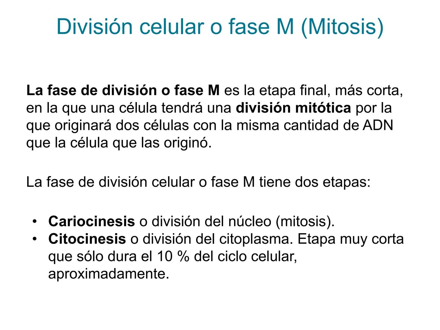 # T 1.3 El ciclo celular # El ciclo celular
Acontecimientos que tienen lugar desde que se origina una célula por división de otra célula an