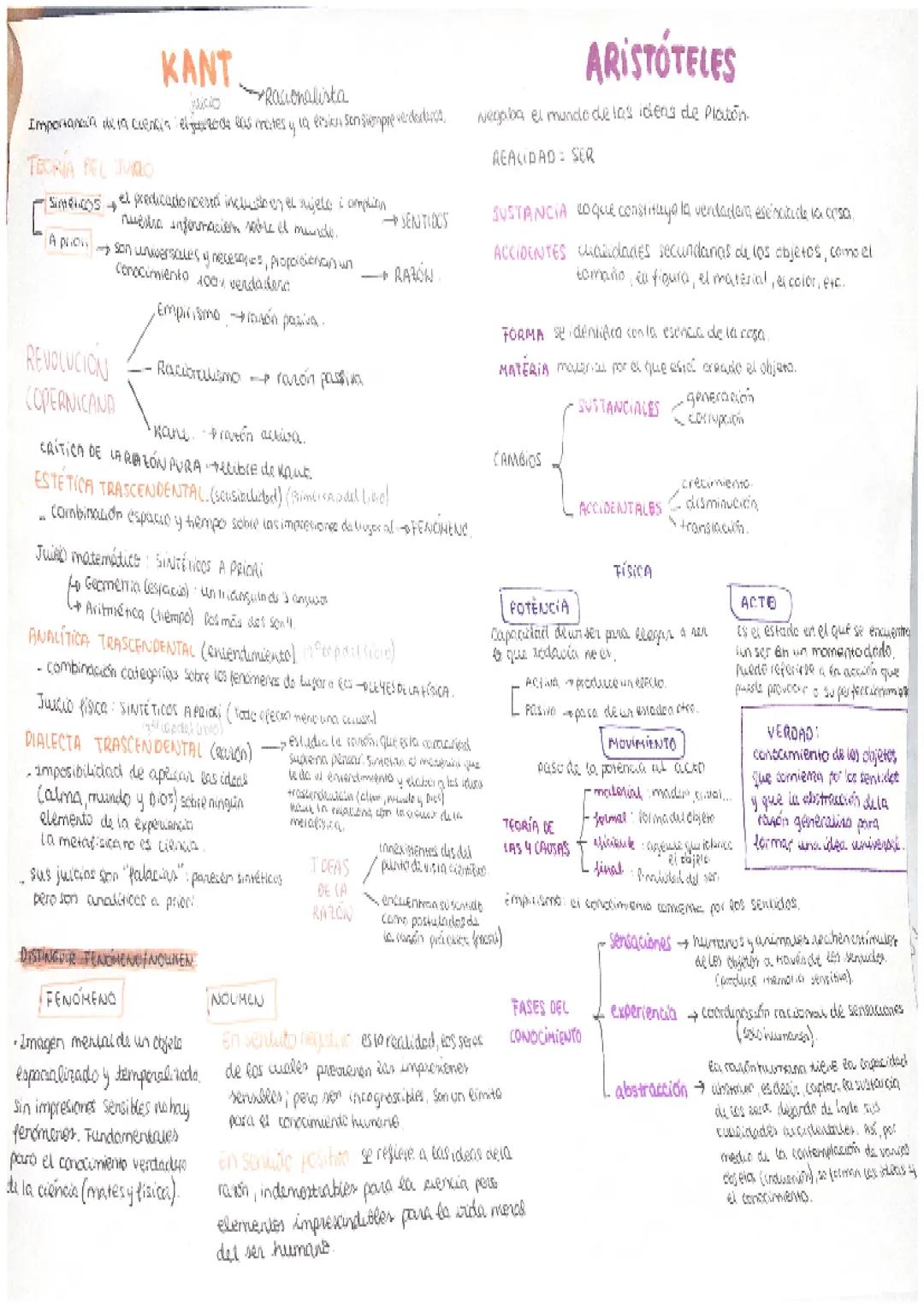 PLATÓN
REALIDAD
Quali sme ontológico
ческий 2.reatilades
MUNDO
SENSIBLE
cambro-sentidos
↓
•spres naturales y
artificiales
-Umágenes
MUNDO
IN