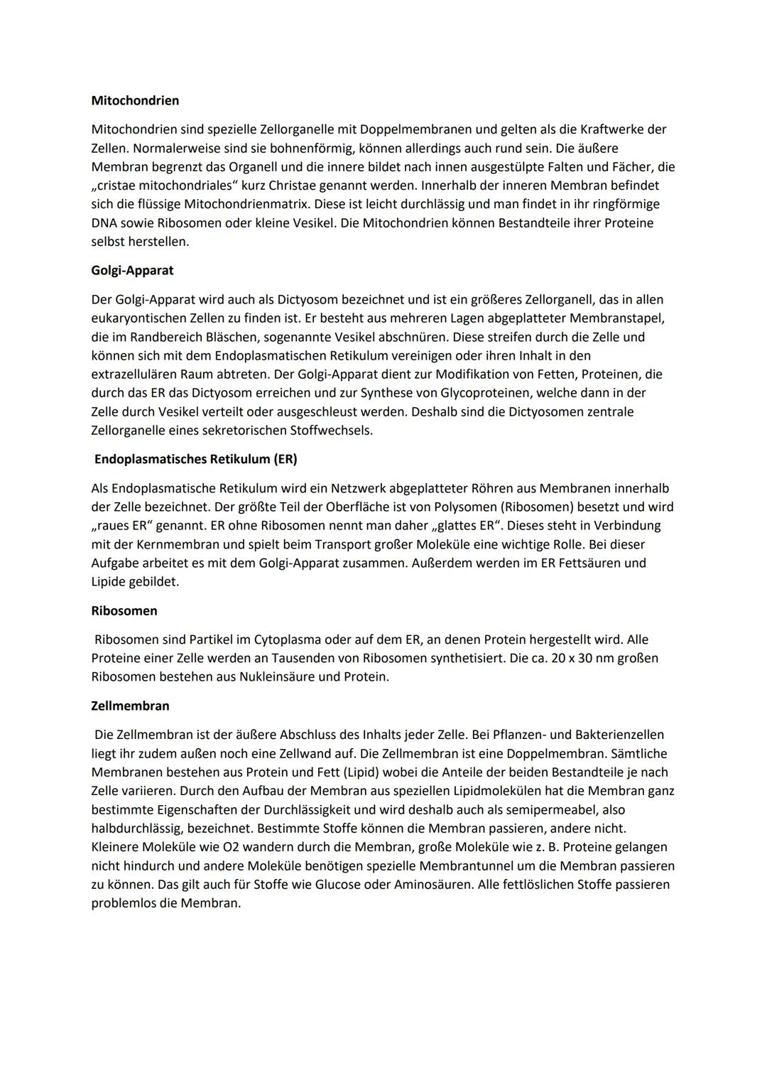 # Struktur und Funktion von Zellorganellen
Endoplasmatisches
Reticulum
Zellkern
Zellmembran
Mitochondrien
Golgi-Apparat
Zytoplasma
Ly