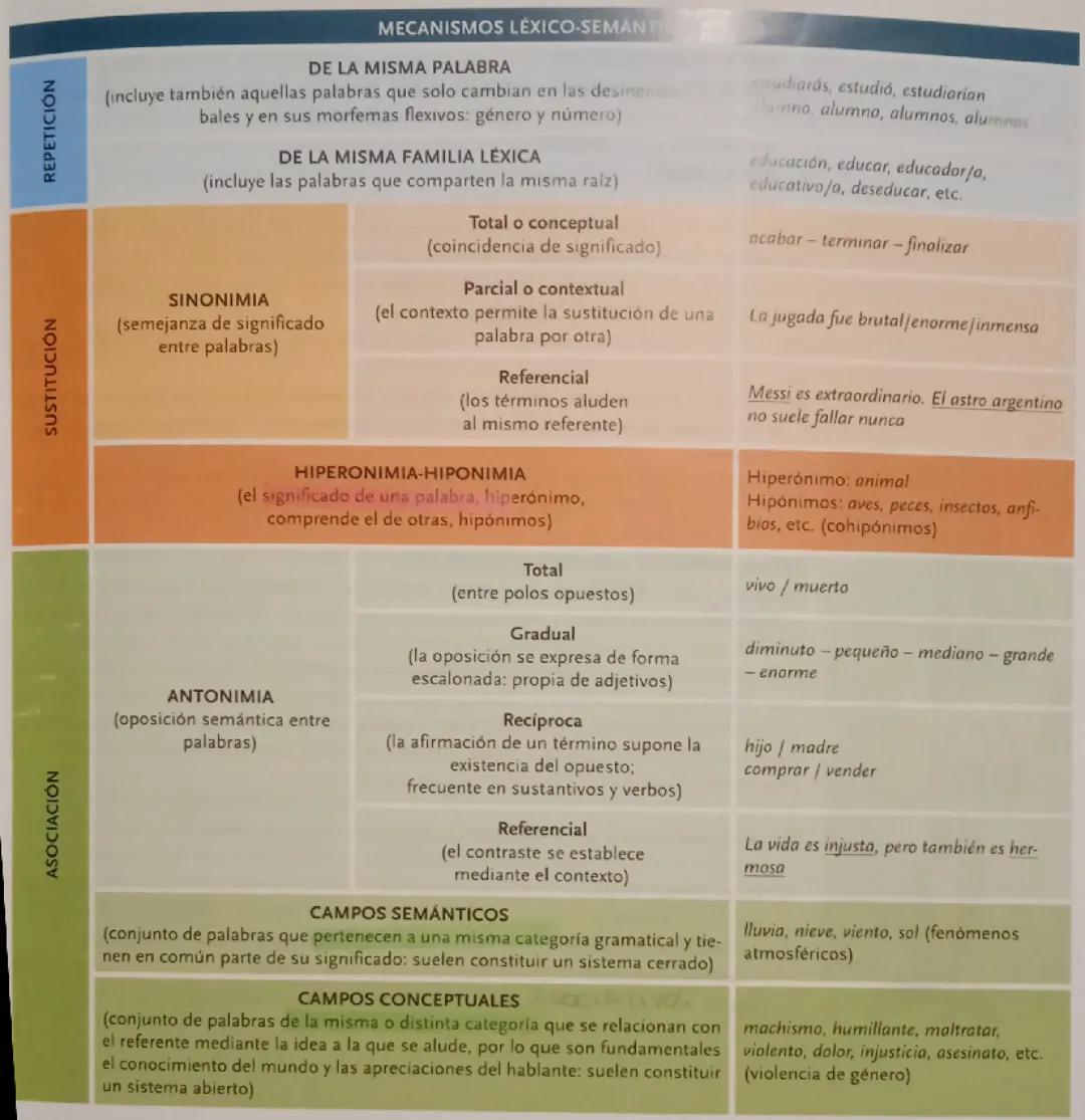 Mecanismos de cohesión léxico-semánticos 1°|2° BACH