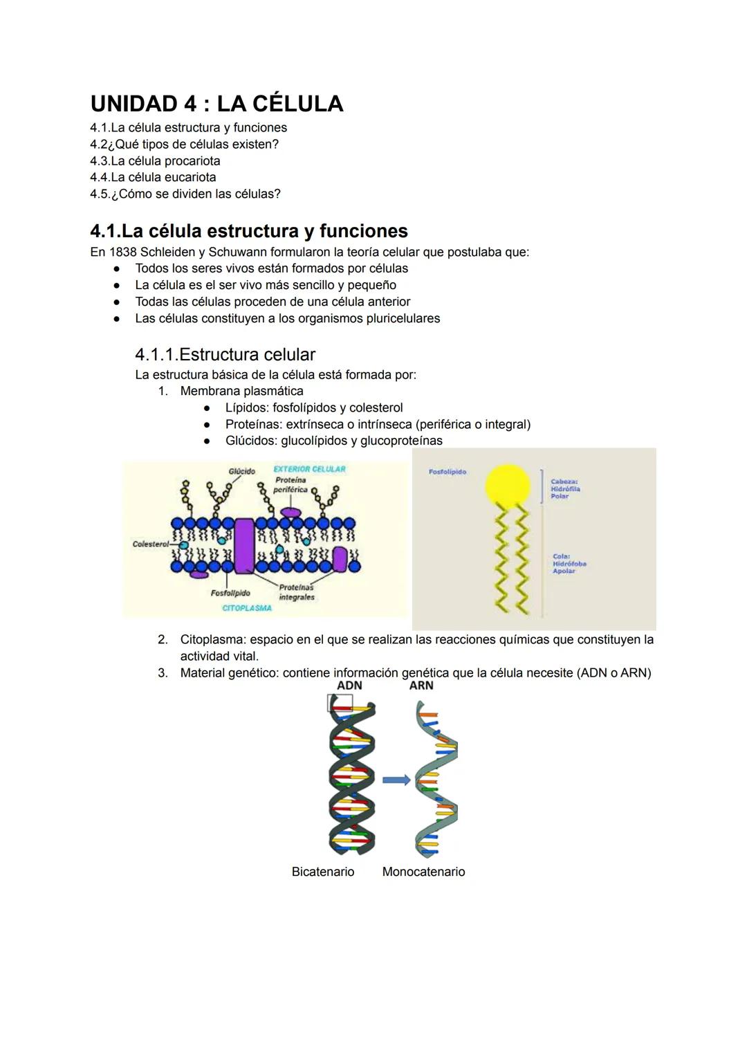 UNIDAD 4: LA CÉLULA
4.1.La célula estructura y funciones
4.2¿Qué tipos de células existen?
4.3.La célula procariota
4.4.La célula eucariota